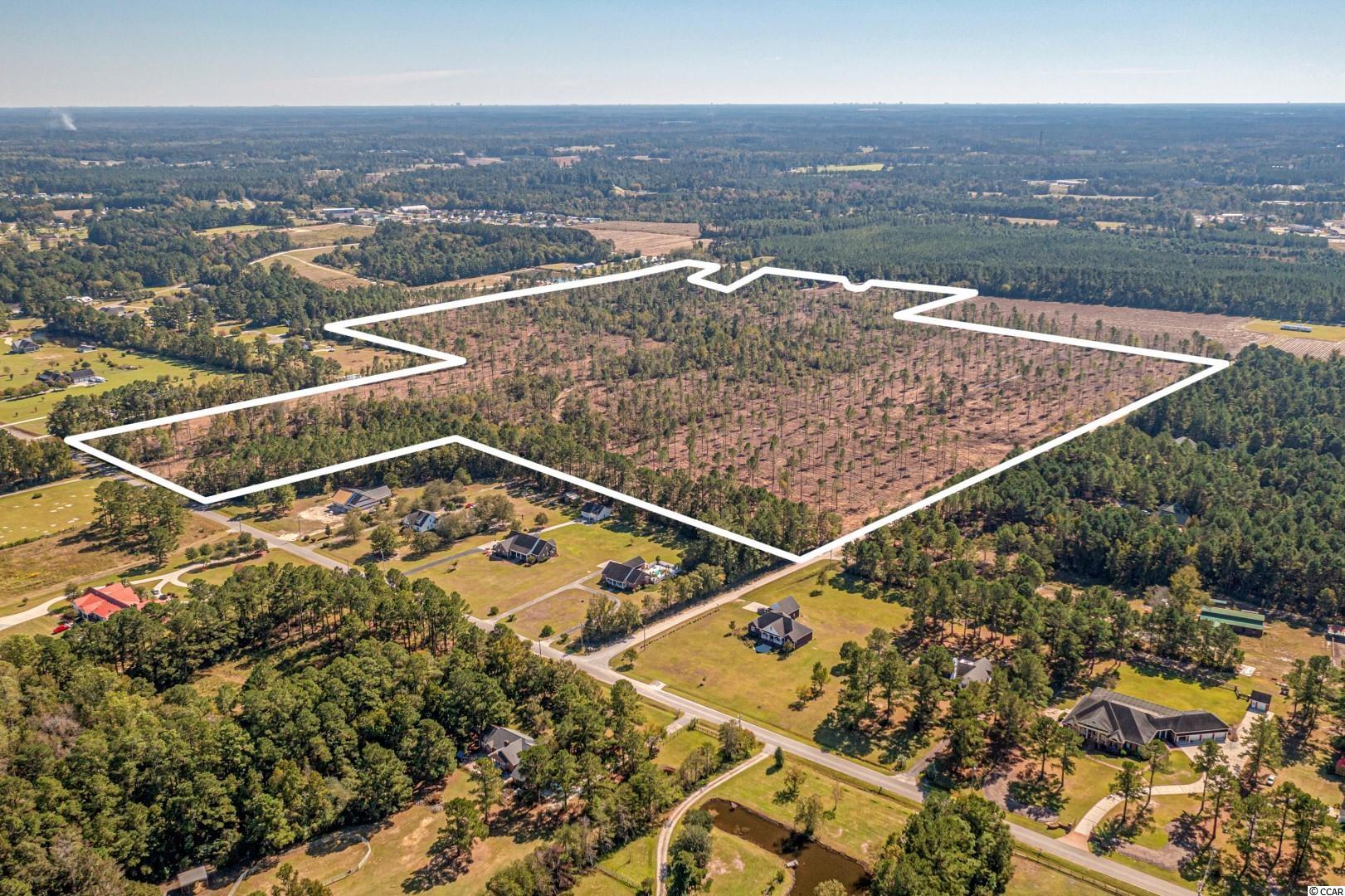3 Manchester Ranch Place Aynor, SC 29511 - Photo 2 of 39 Gallery Image 2