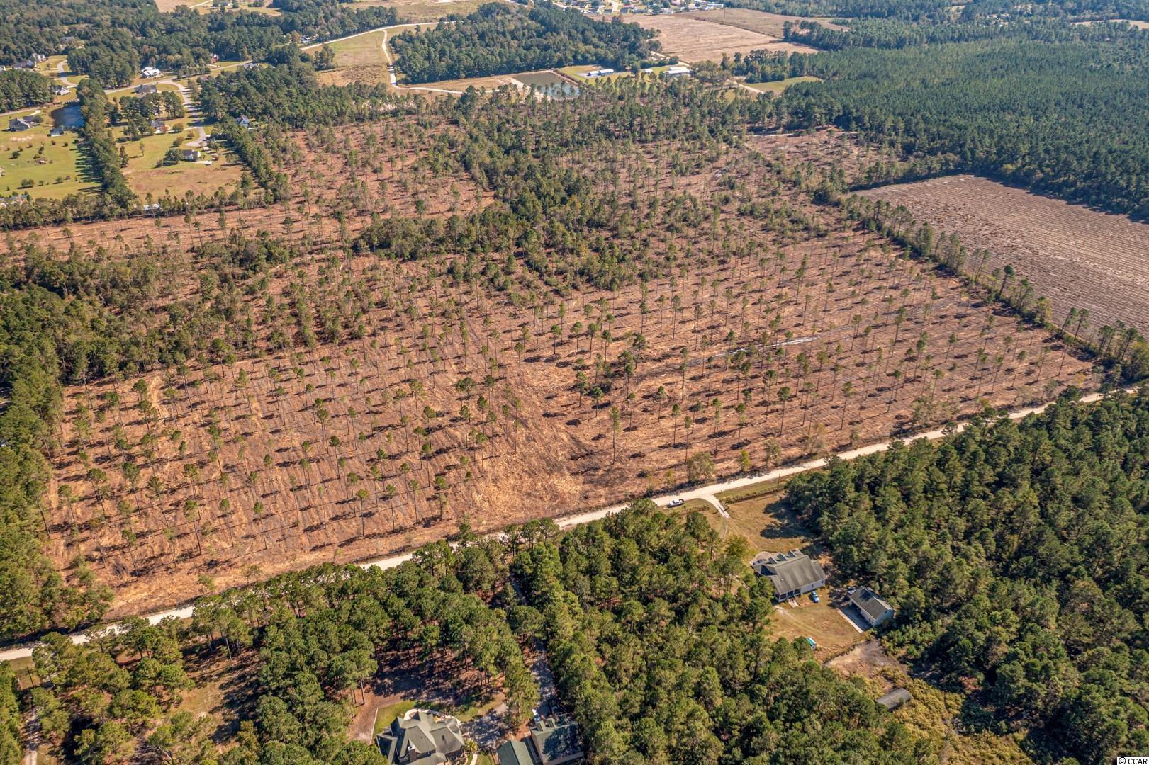 3 Manchester Ranch Place Aynor, SC 29511 - Photo 15 of 39 Gallery Image 15
