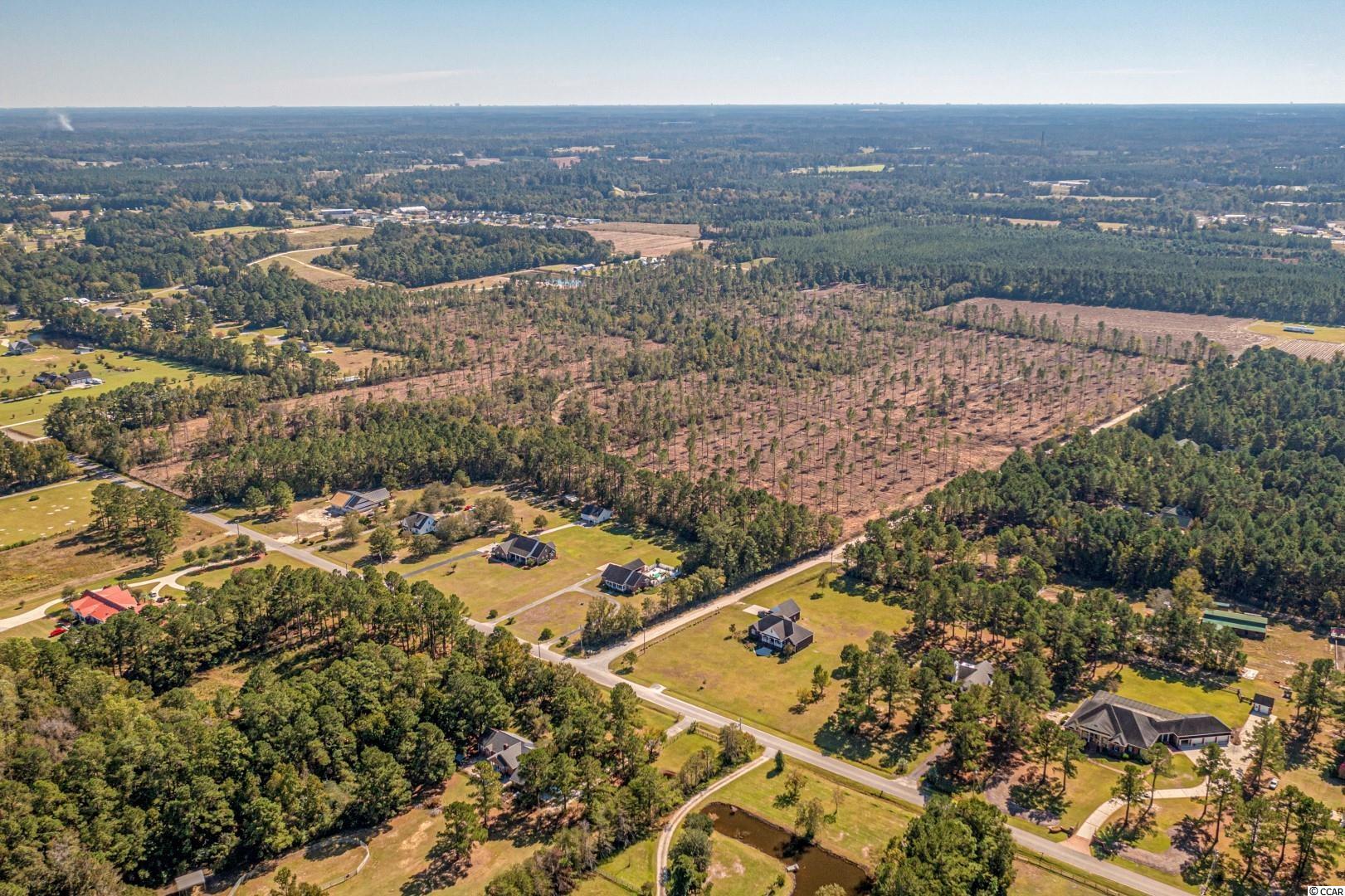 3 Manchester Ranch Place Aynor, SC 29511 - Photo 3 of 39 Gallery Image 3