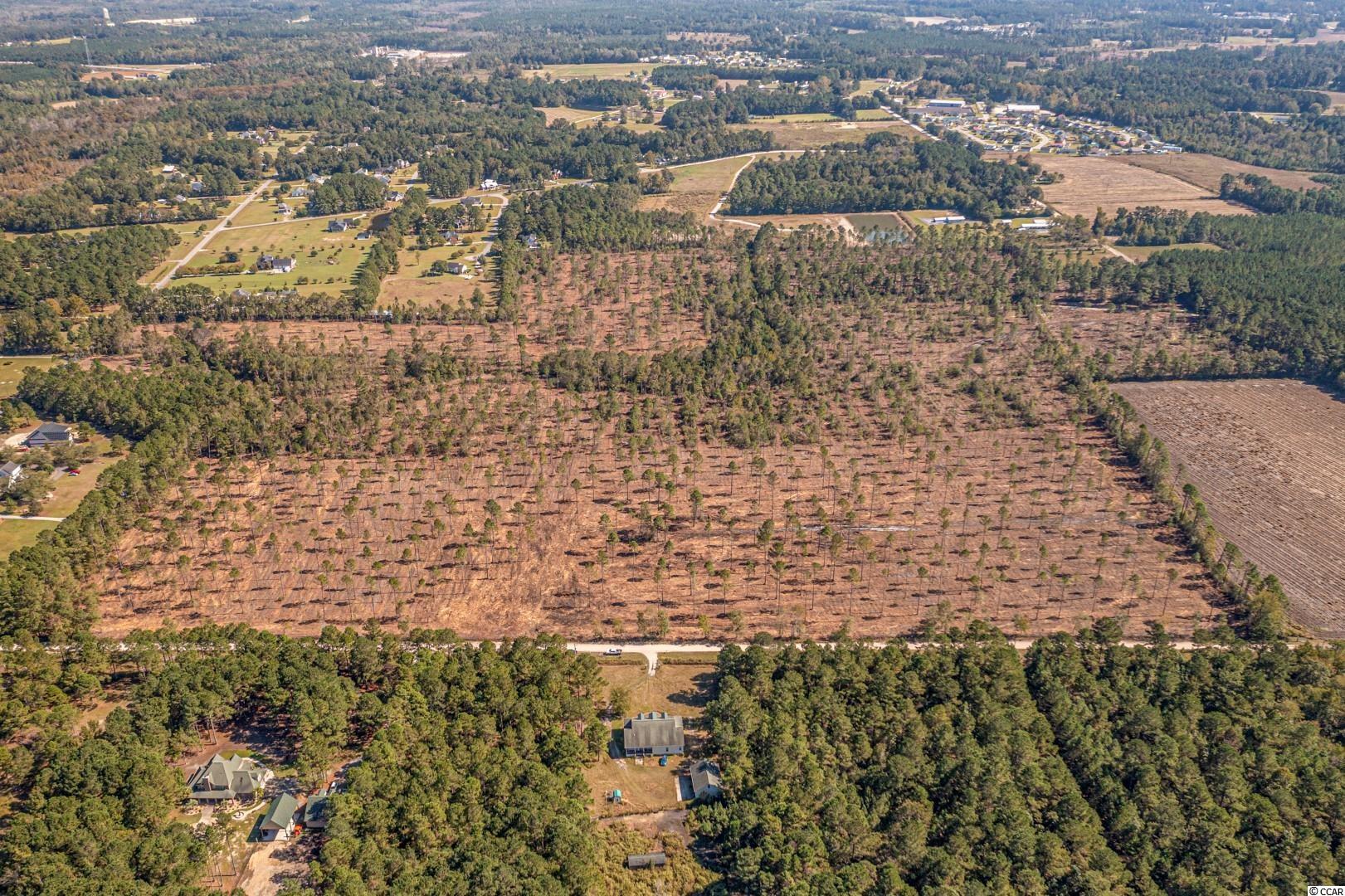3 Manchester Ranch Place Aynor, SC 29511 - Photo 21 of 39 Gallery Image 21