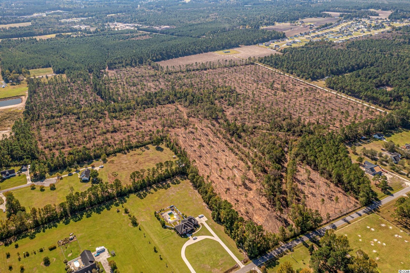 3 Manchester Ranch Place Aynor, SC 29511 - Photo 22 of 39 Gallery Image 22