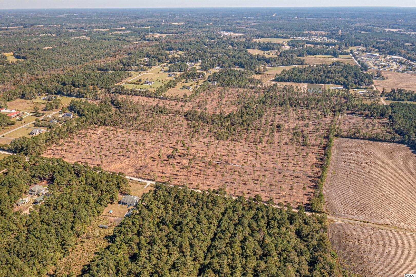 3 Manchester Ranch Place Aynor, SC 29511 - Photo 24 of 39 Gallery Image 24