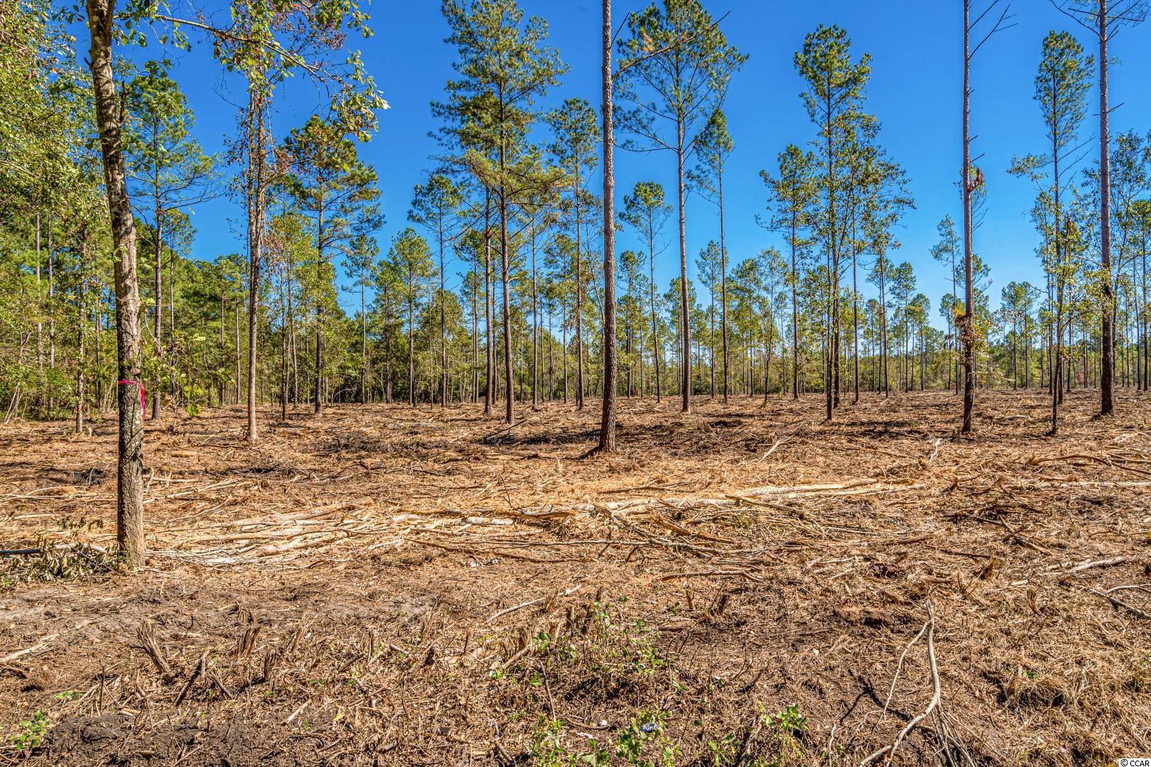 3 Manchester Ranch Place Aynor, SC 29511 - Photo 28 of 39 Gallery Image 28