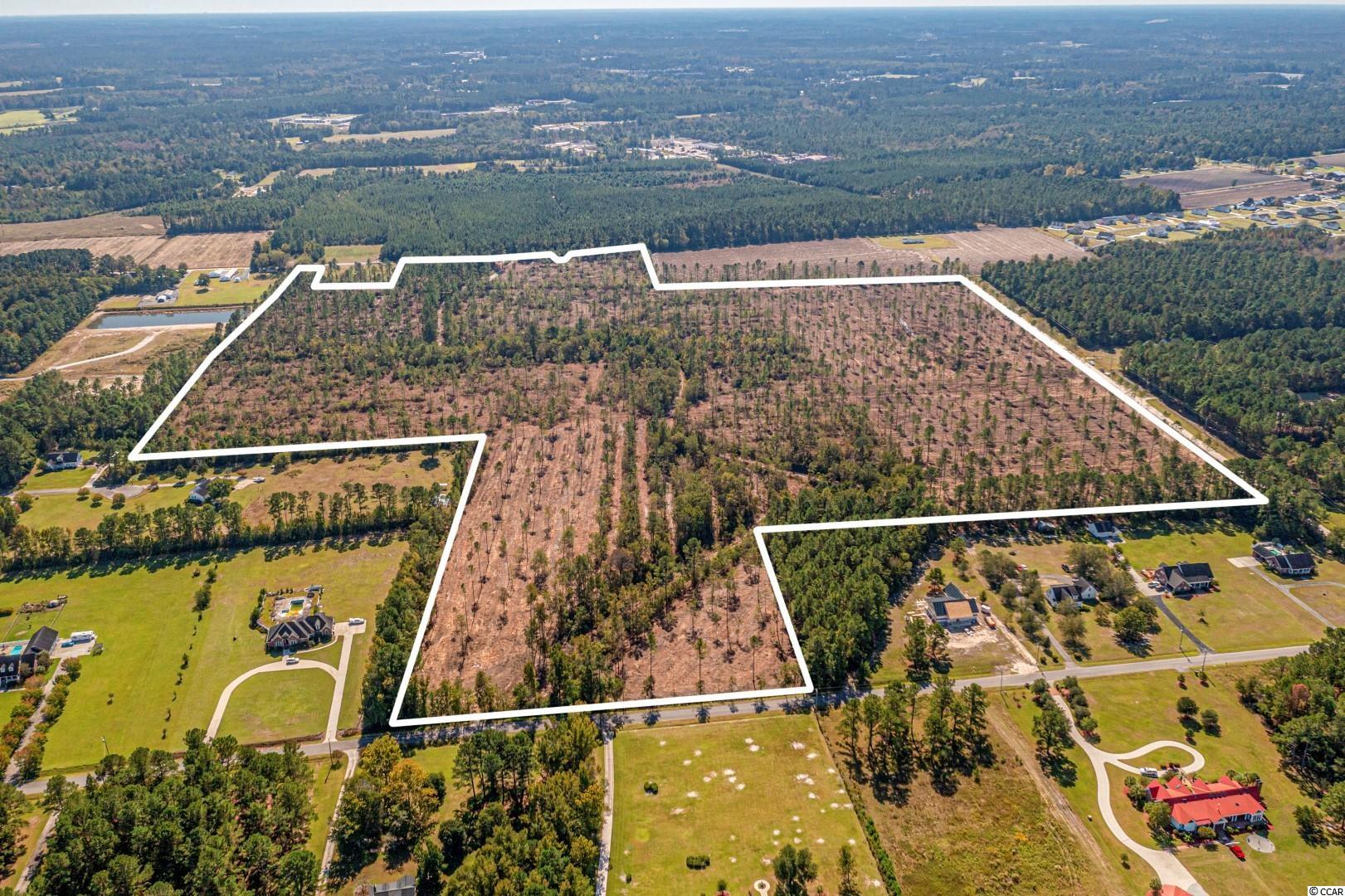 3 Manchester Ranch Place Aynor, SC 29511 - Photo 30 of 39 Gallery Image 30
