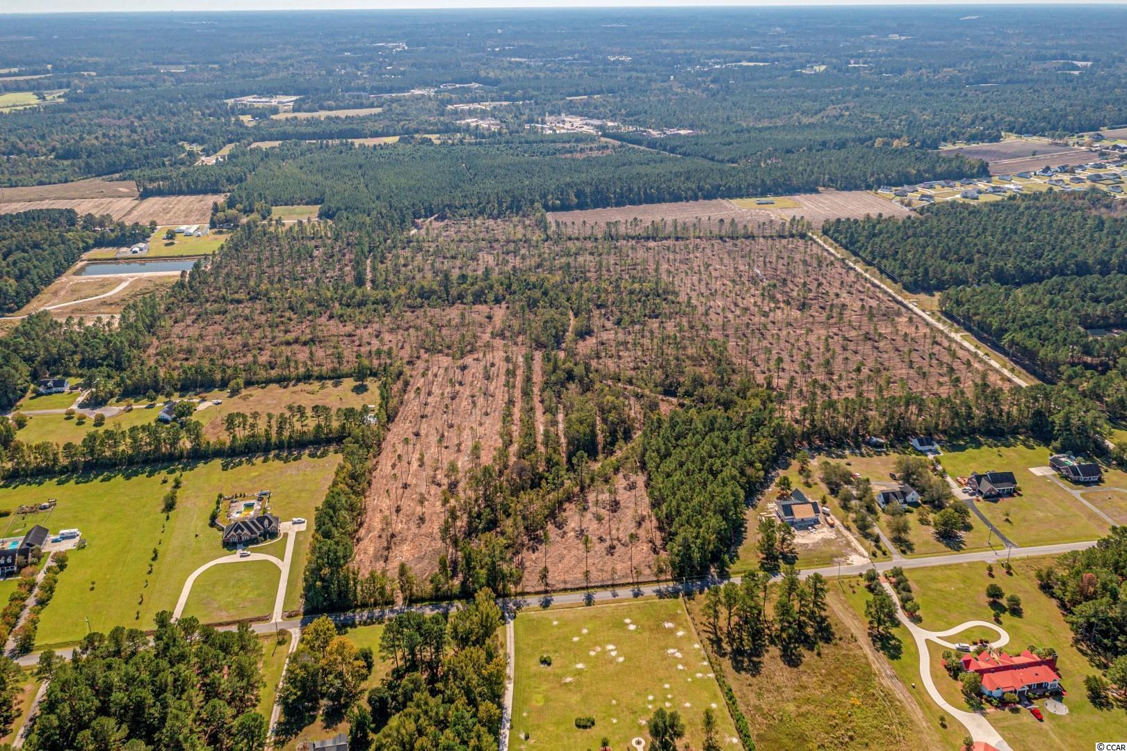 3 Manchester Ranch Place Aynor, SC 29511 - Photo 31 of 39 Gallery Image 31