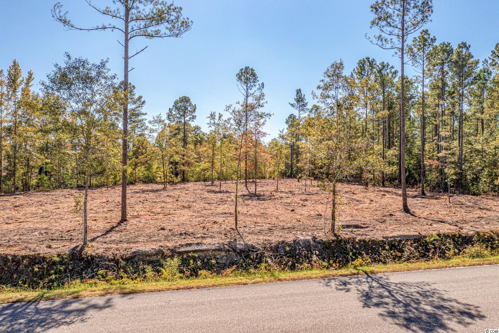 3 Manchester Ranch Place Aynor, SC 29511 - Photo 36 of 39 Gallery Image 36