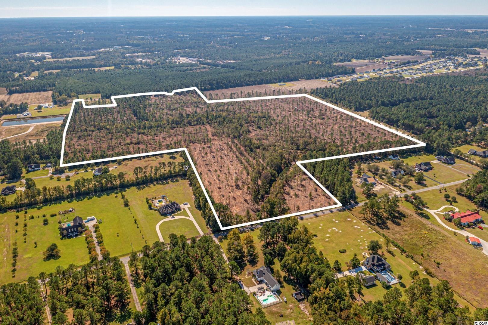 3 Manchester Ranch Place Aynor, SC 29511 - Photo 37 of 39 Gallery Image 37