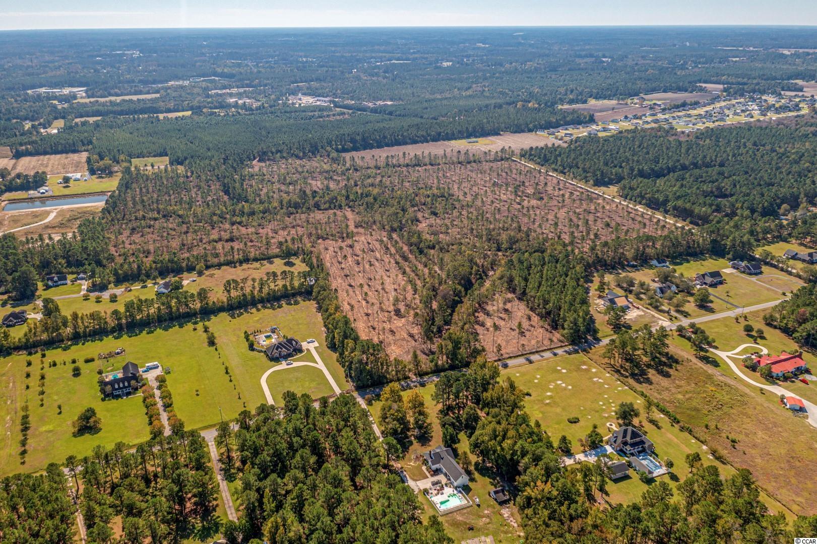 3 Manchester Ranch Place Aynor, SC 29511 - Photo 38 of 39 Gallery Image 38