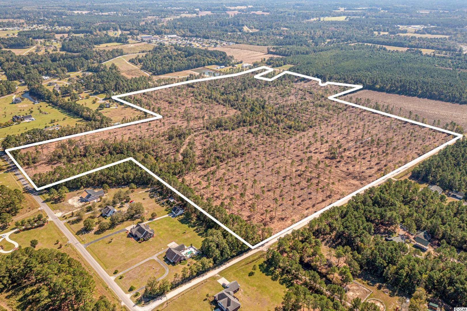 3 Manchester Ranch Place Aynor, SC 29511 - Photo 6 of 39 Gallery Image 6