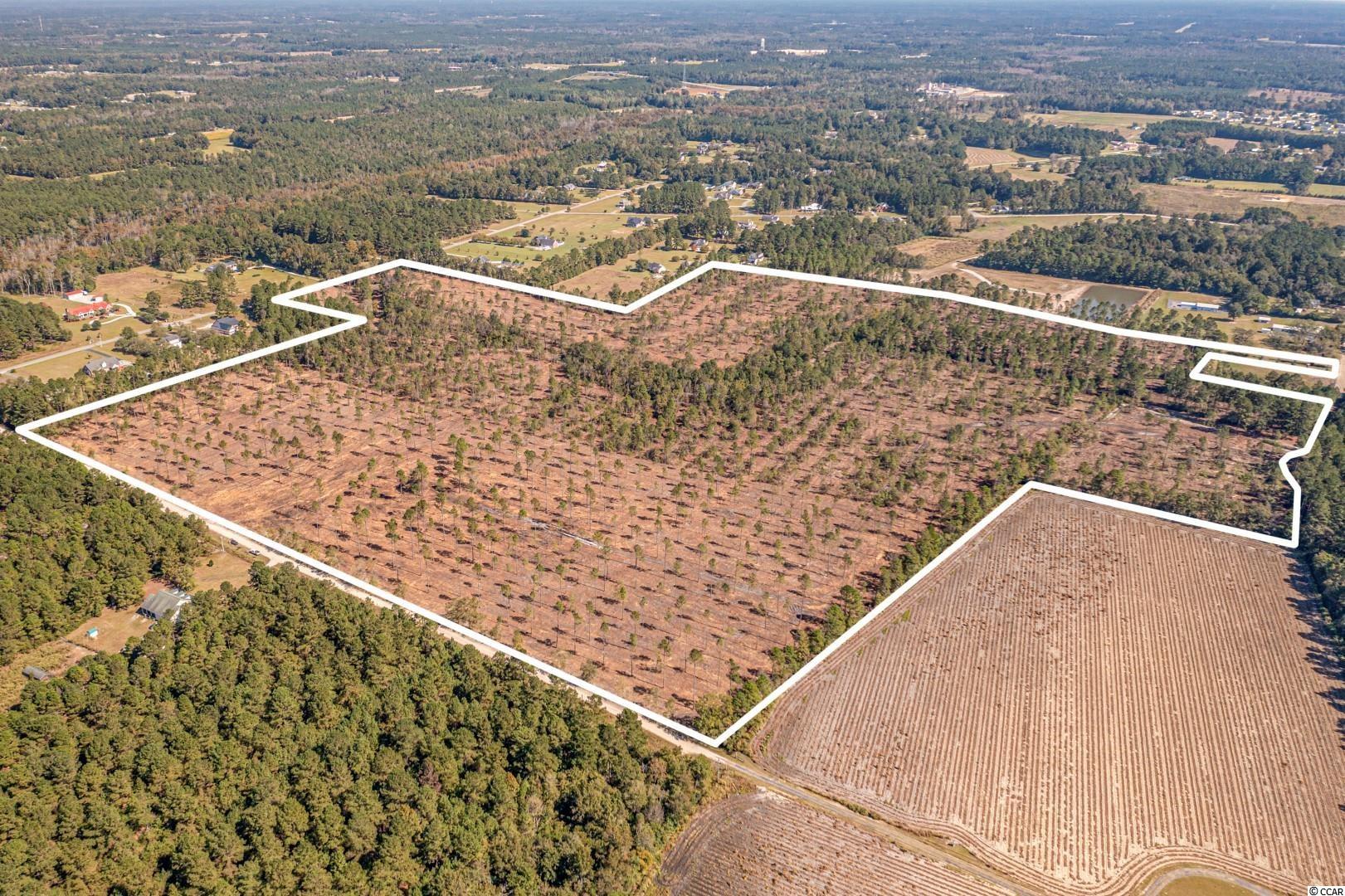 3 Manchester Ranch Place Aynor, SC 29511 - Photo 10 of 39 Gallery Image 10