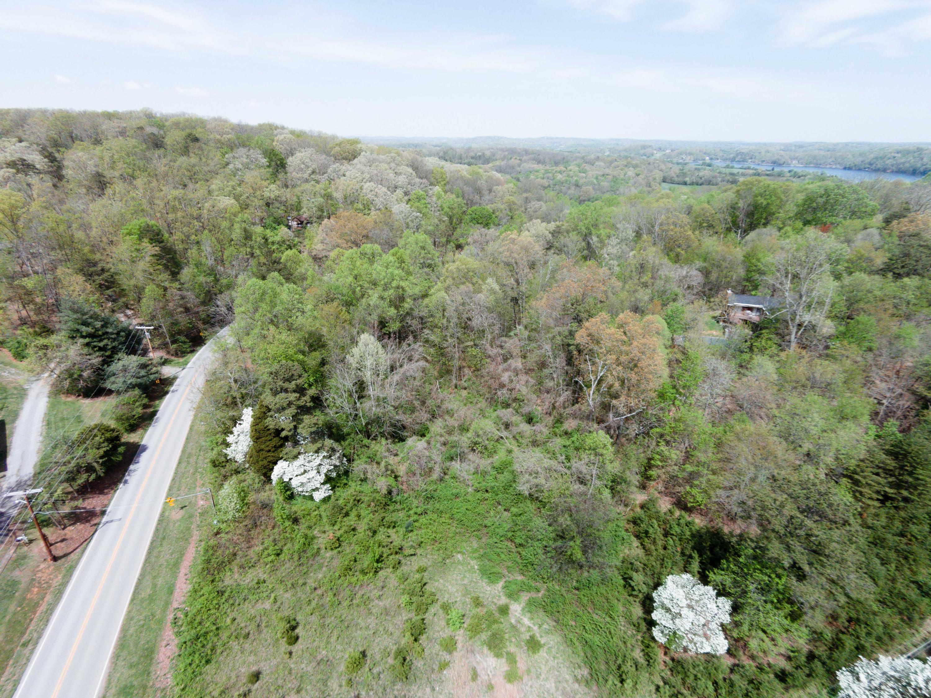 South Choto Road Knoxville, TN 37922 - Photo 3 of 6 Build Site