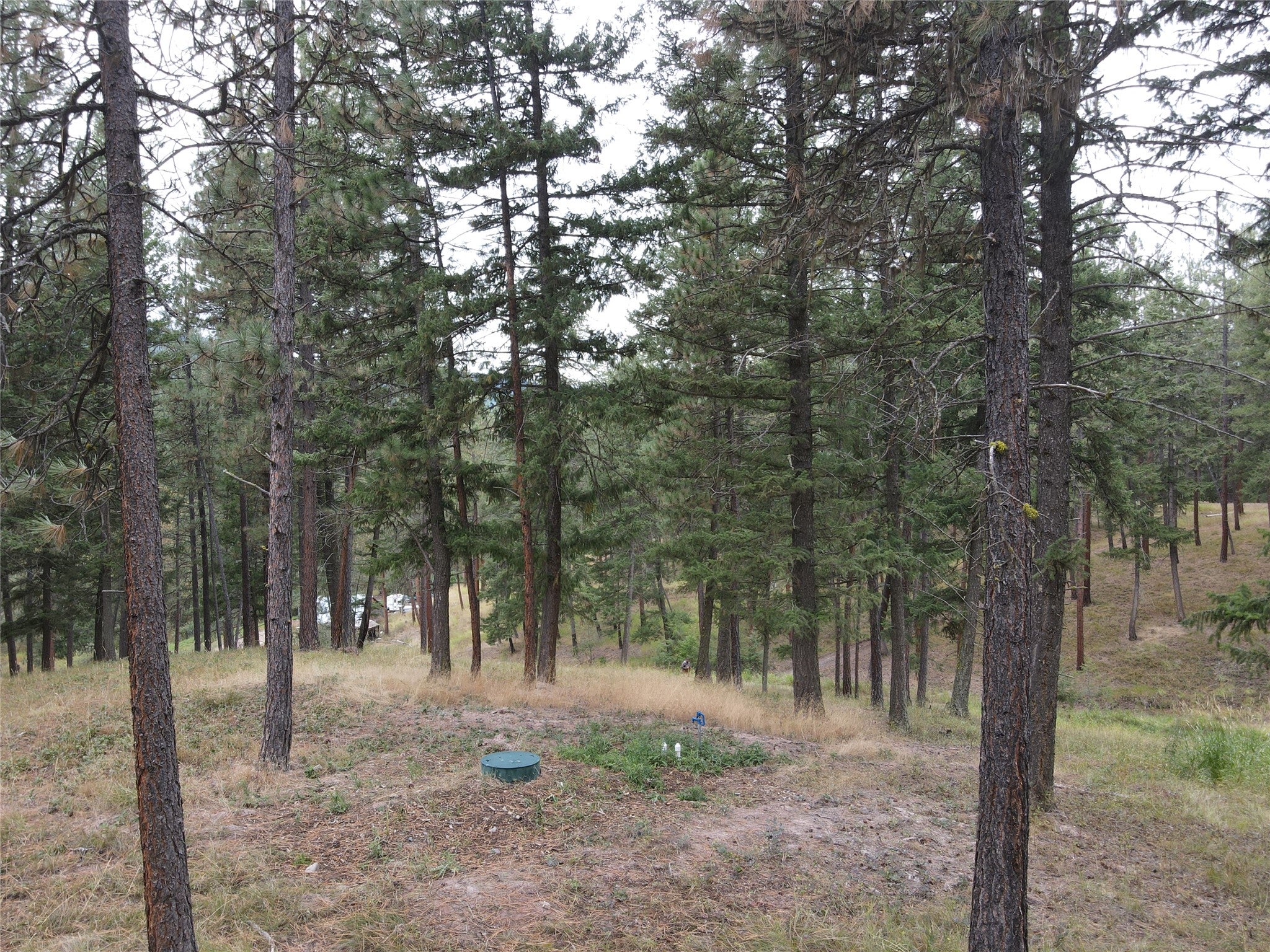 21481 9 Mile Road Huson, MT 59846 - Photo 30 of 43 Gallery Image 30