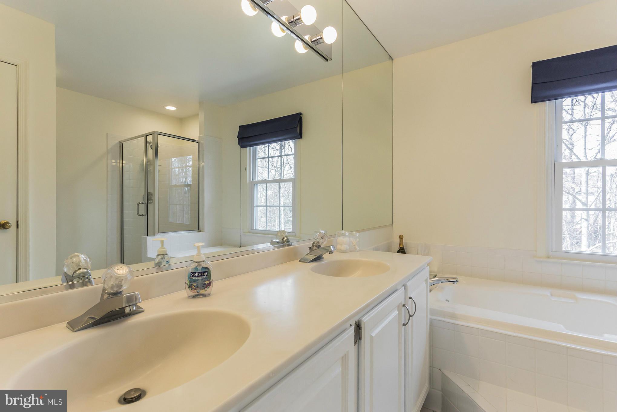 2024 Merrifields Drive Silver Spring, MD 20906 - Photo 17 of 30 Double vanity in master bath