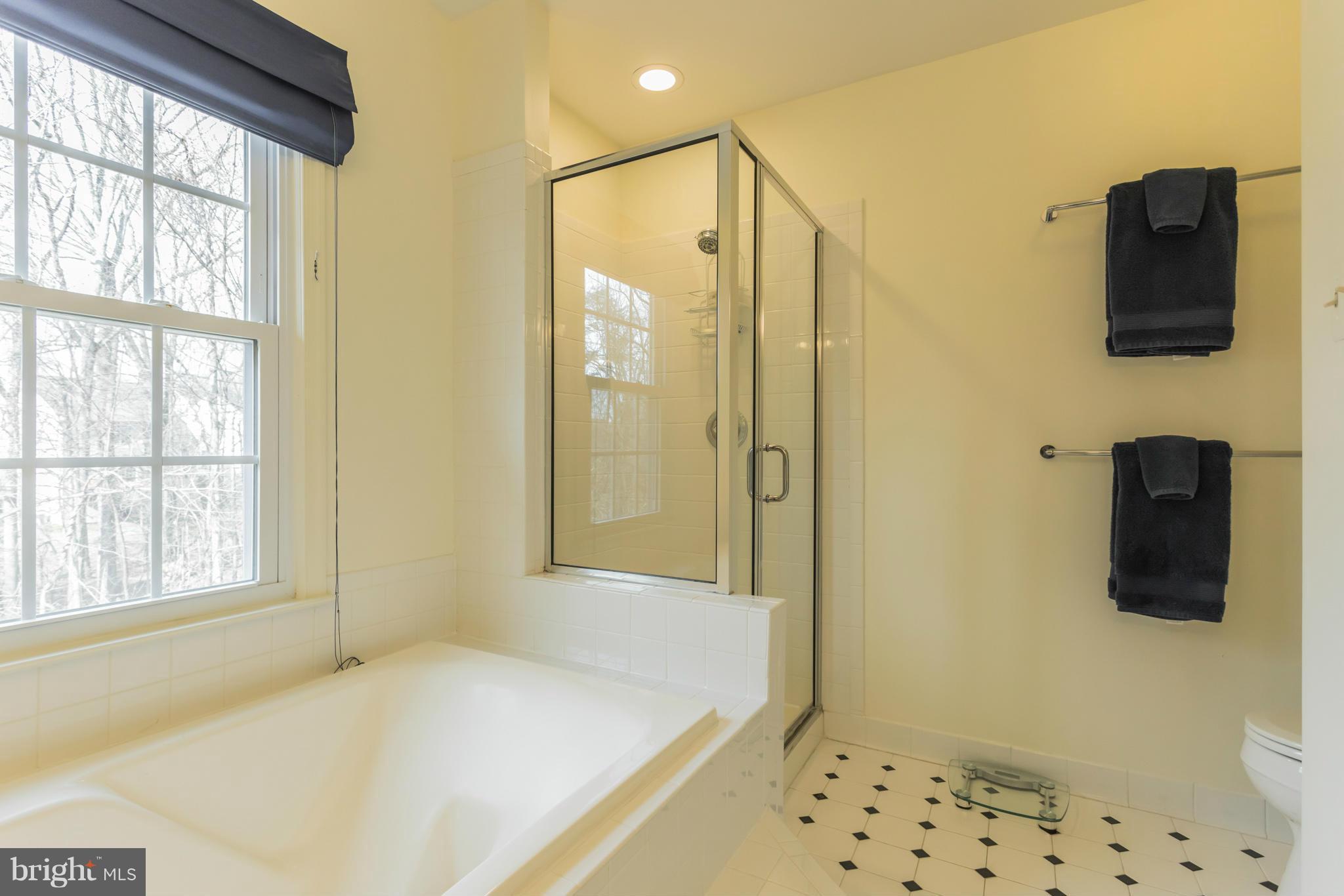 2024 Merrifields Drive Silver Spring, MD 20906 - Photo 18 of 30 Master bath with separate shower and soaking tub