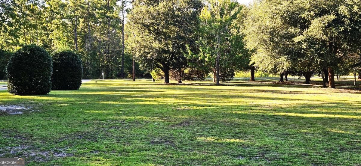 330 Maria Sorrell Road Statesboro, GA 30461 - Photo 10 of 69 Gallery Image 10