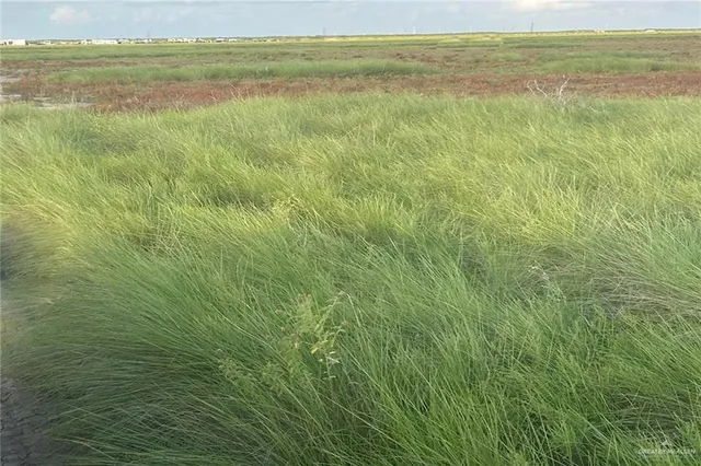a view of an ocean from a beach