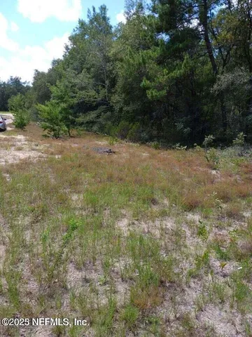 a view of a yard with trees