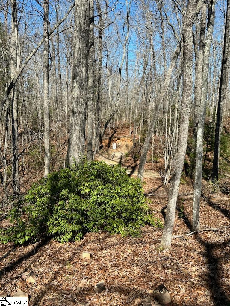 906 Talley Bridge Road Cleveland, SC 29635 - Photo 34 of 36