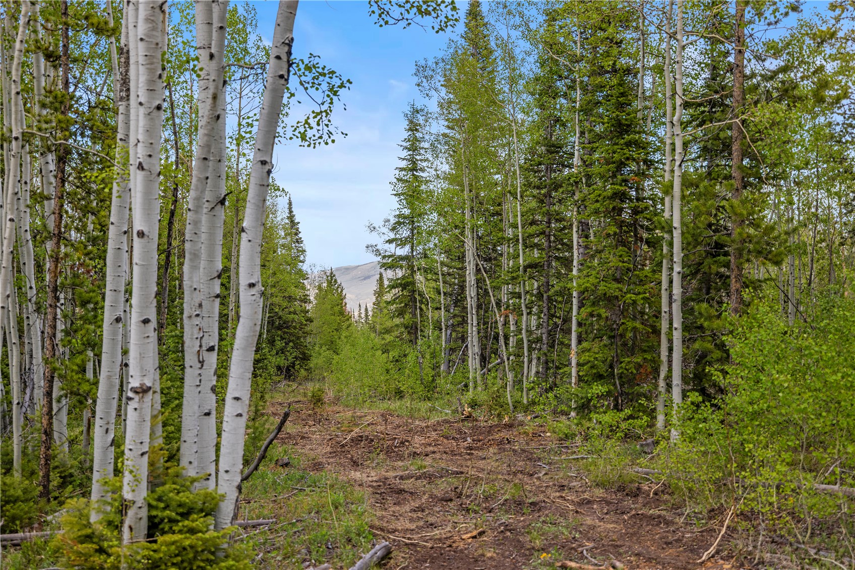 336 Blue Spruce Road Silverthorne, CO 80498 - Photo 26 of 28