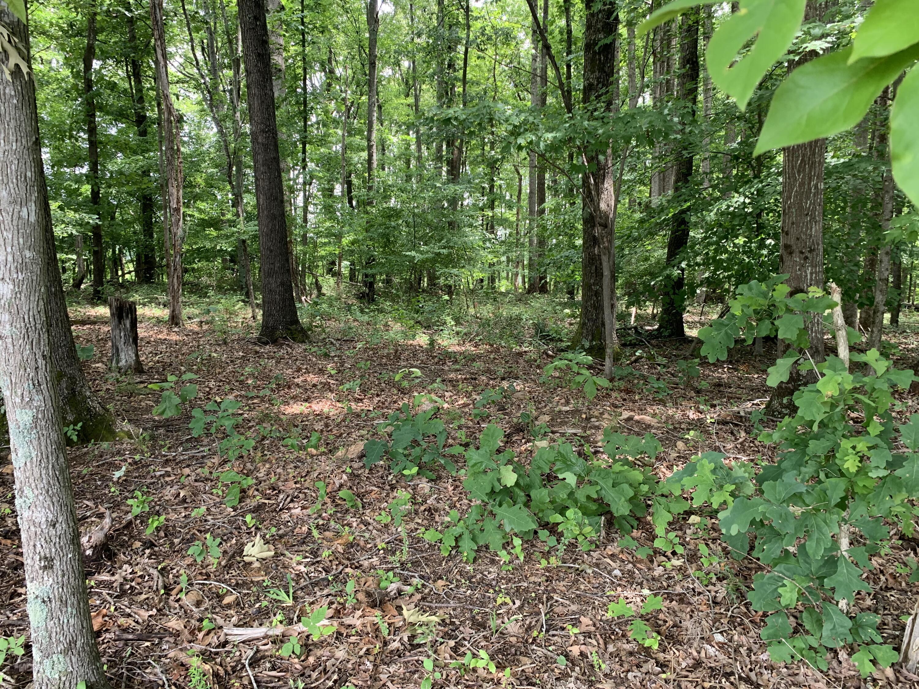 Lot 5 Oaks Road Wirtz, VA 24184 - Photo 2 of 2 image_50732289