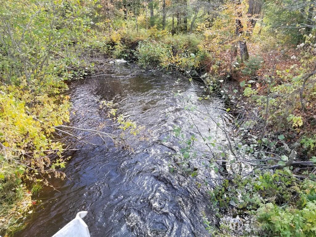 103 West 16 Mile Road Dafter, MI 49724 - Photo 22 of 26 Gallery Image 22