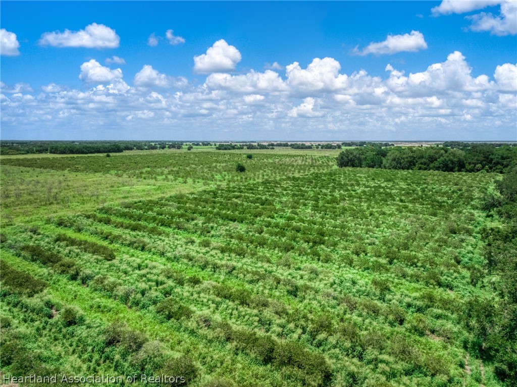 Stephens Road Wauchula, FL 33873 - Photo 2 of 7