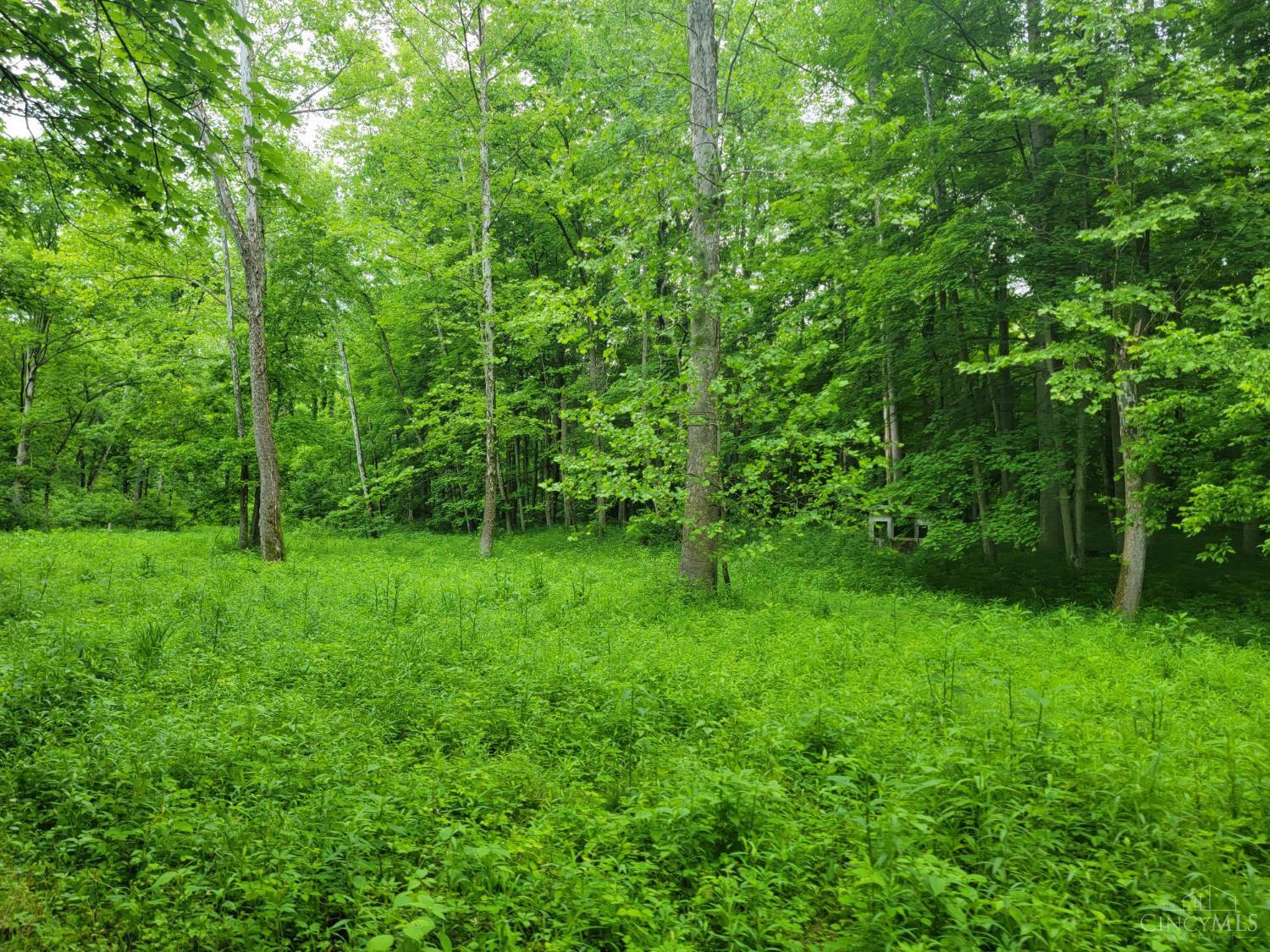 0 Co Road Milan, IN 47031 - Photo 12 of 19 Gallery Image 12