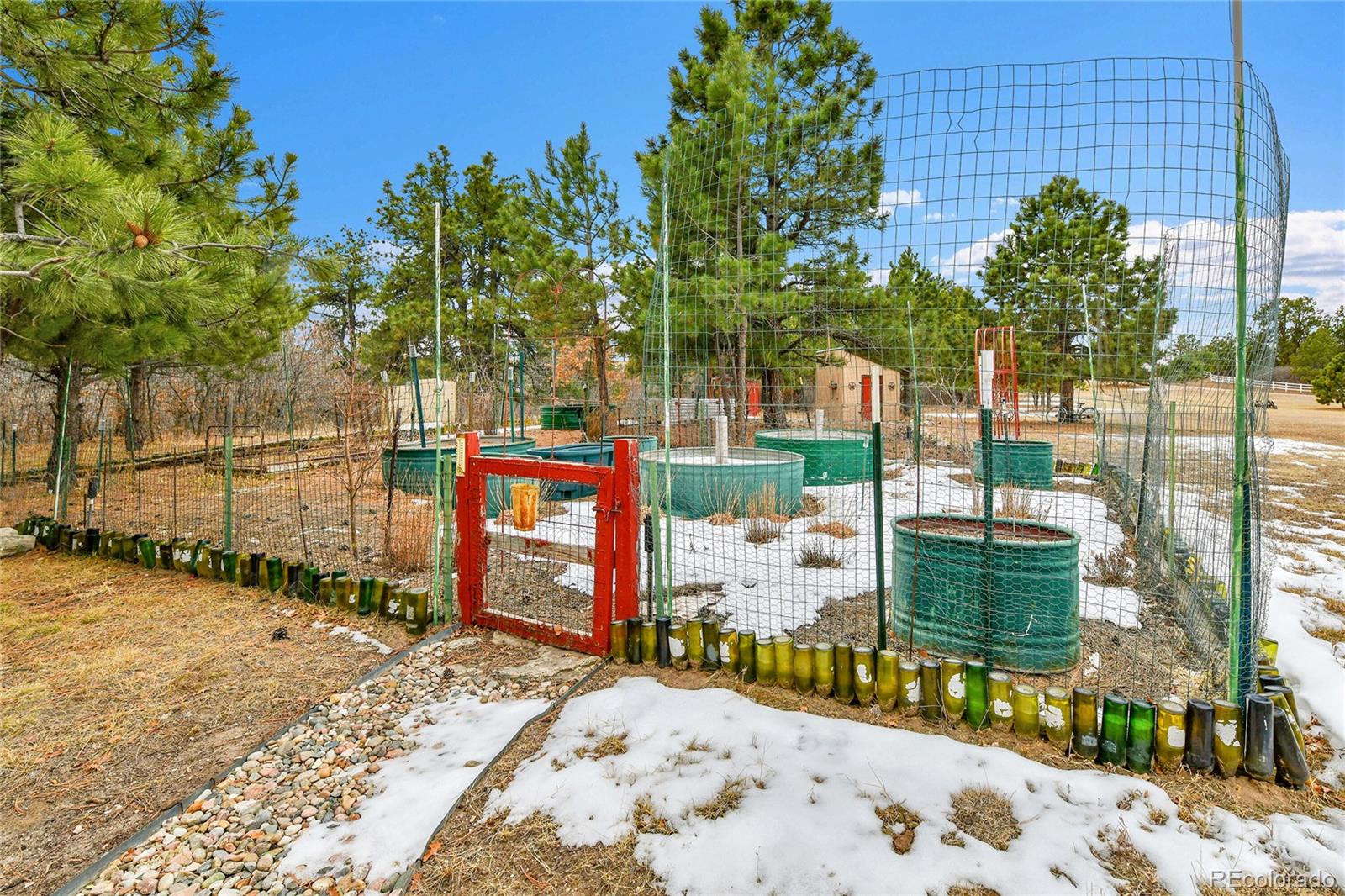 12984 Crowfoot Springs Road Franktown, CO 80116 - Photo 40 of 50 swimming pool view