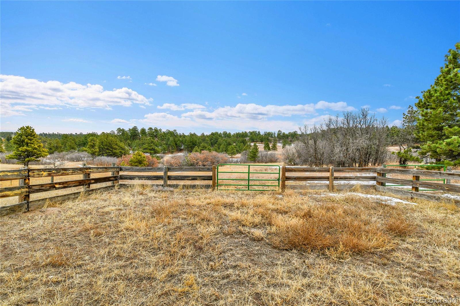 12984 Crowfoot Springs Road Franktown, CO 80116 - Photo 45 of 50 a view of a yard with wooden fence