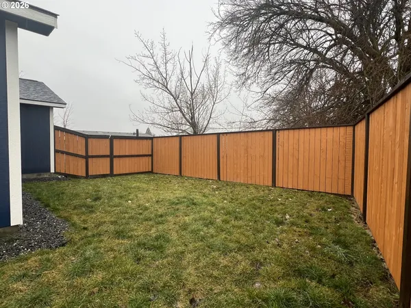 a view of backyard and tree
