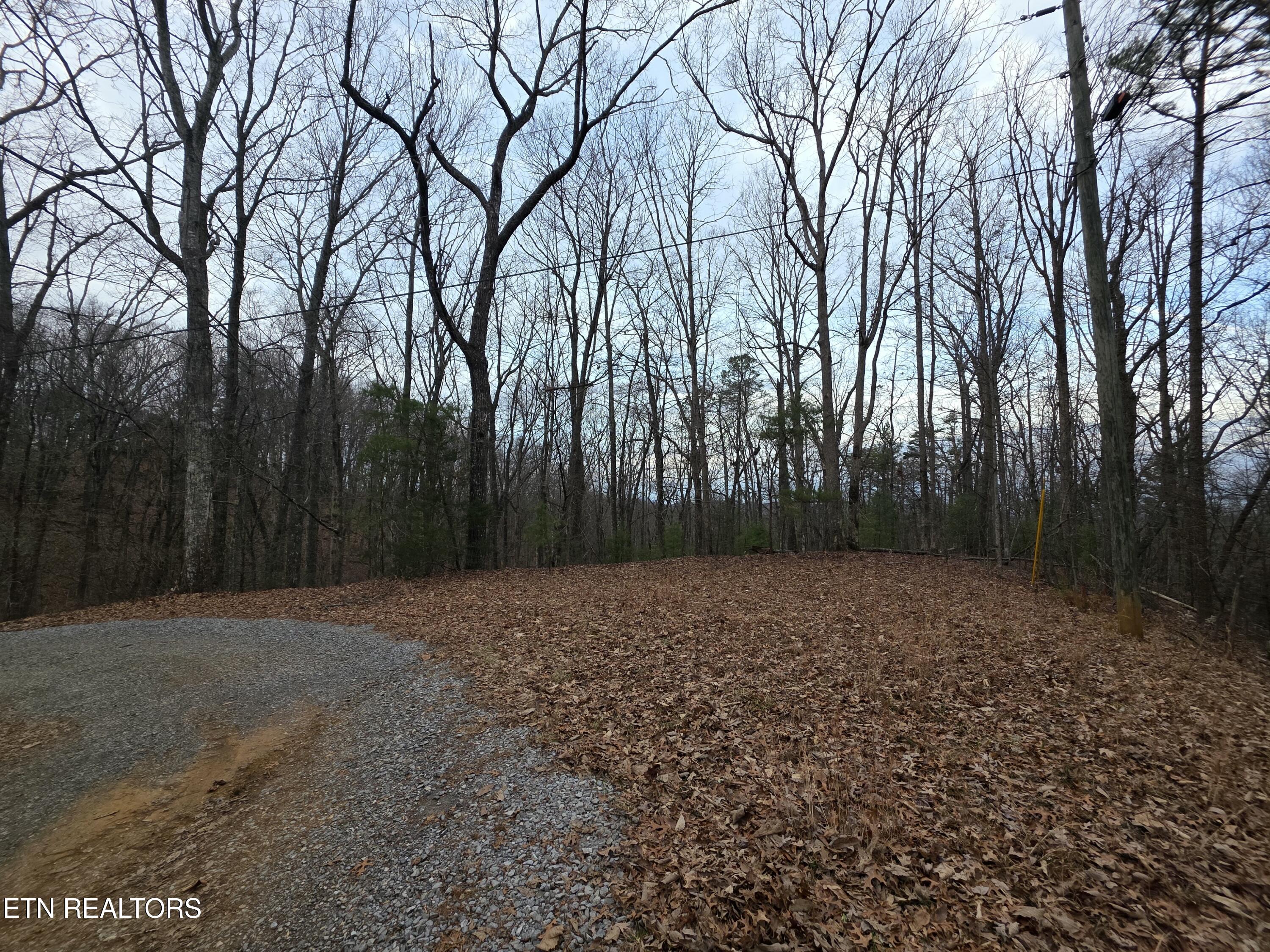 0 Deer Ridge Lane Sevierville, TN 37876 - Photo 11 of 17 20260114_082415