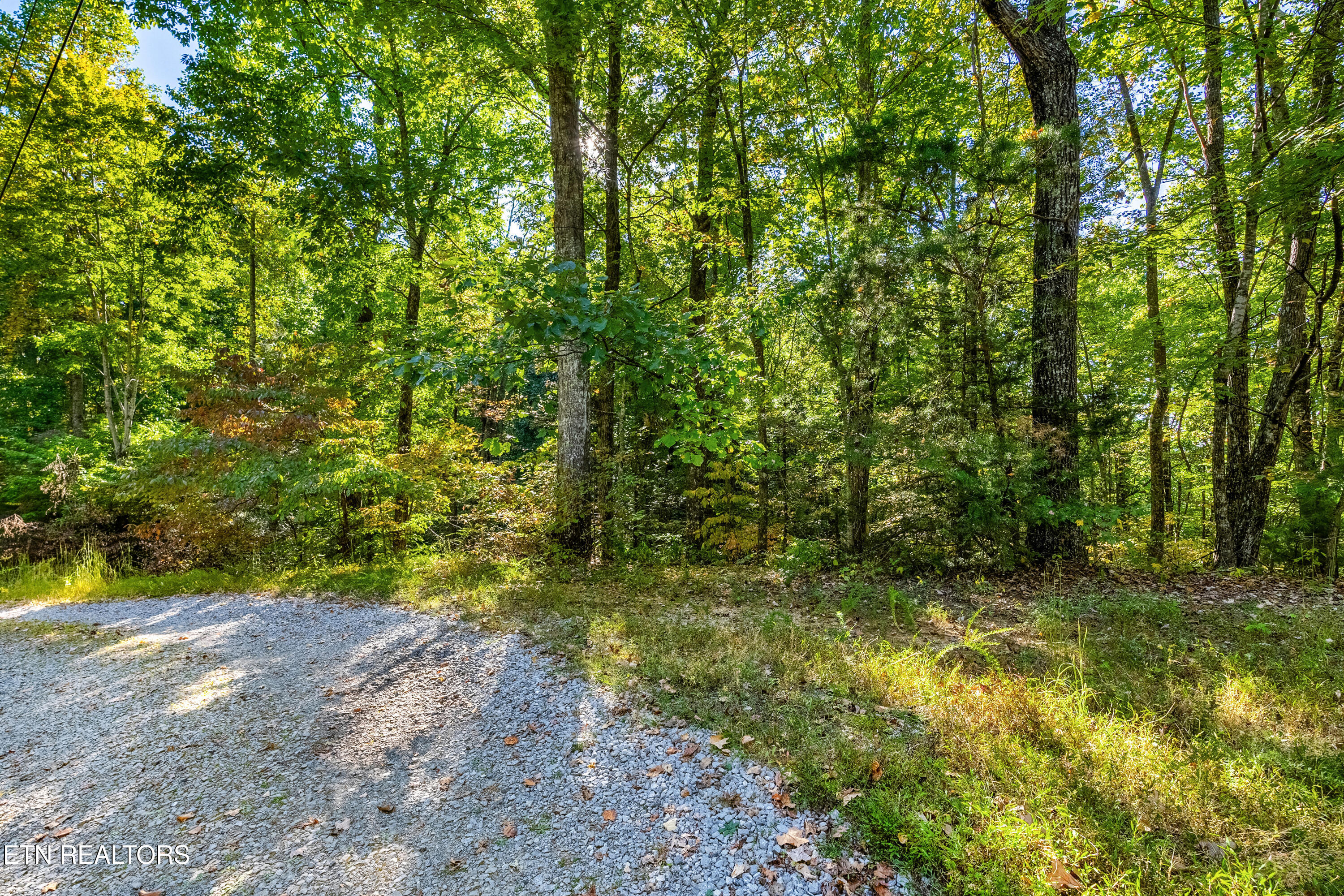 0 Deer Ridge Lane Sevierville, TN 37876 - Photo 6 of 17 DSC03322-HDR_1