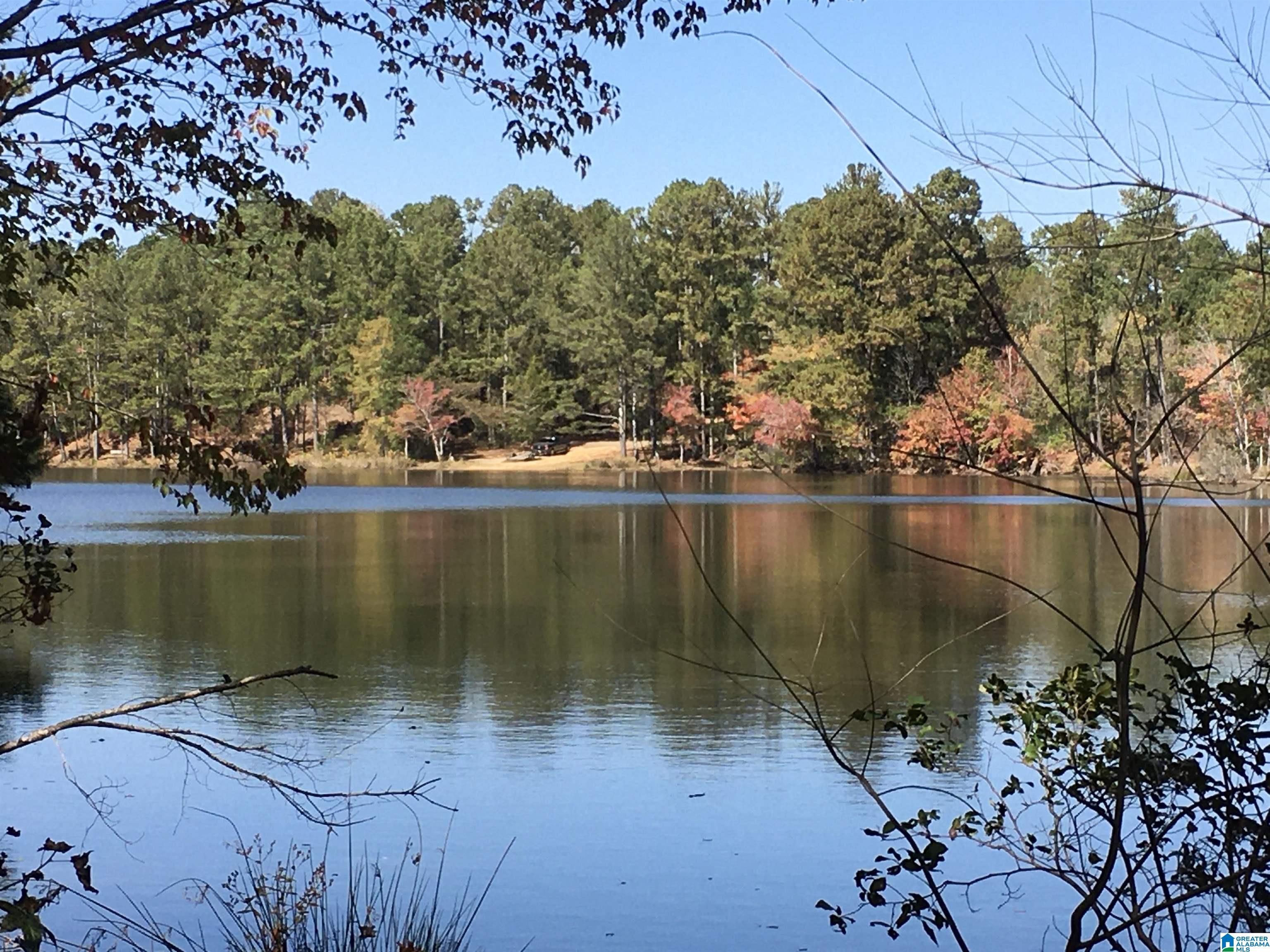 8760 Marsh Mountain Road, Unit 223 Pinson, AL 35126 - Photo 10 of 51