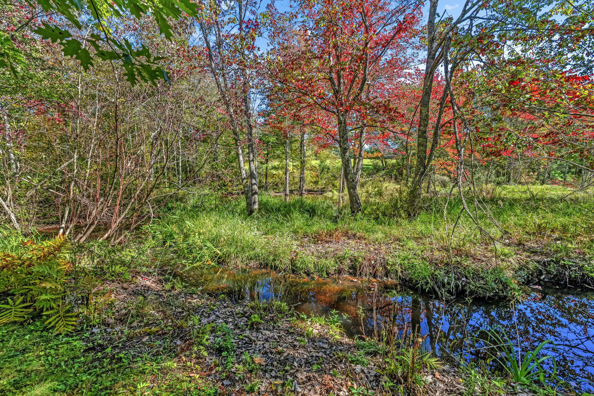541 Camden Road Hope, ME 04847 - Photo 50 of 63 Wiley Brook in Back Yard
