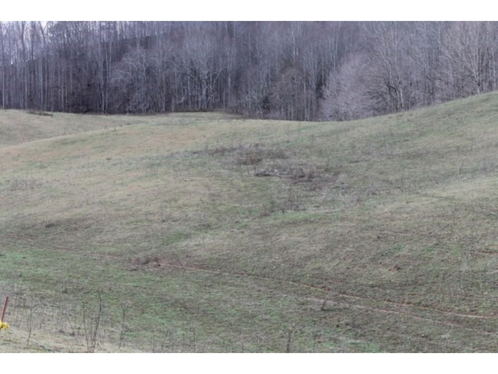 16291 Rich Valley Road Abingdon, VA 24210 - Photo 6 of 36 Photo 6