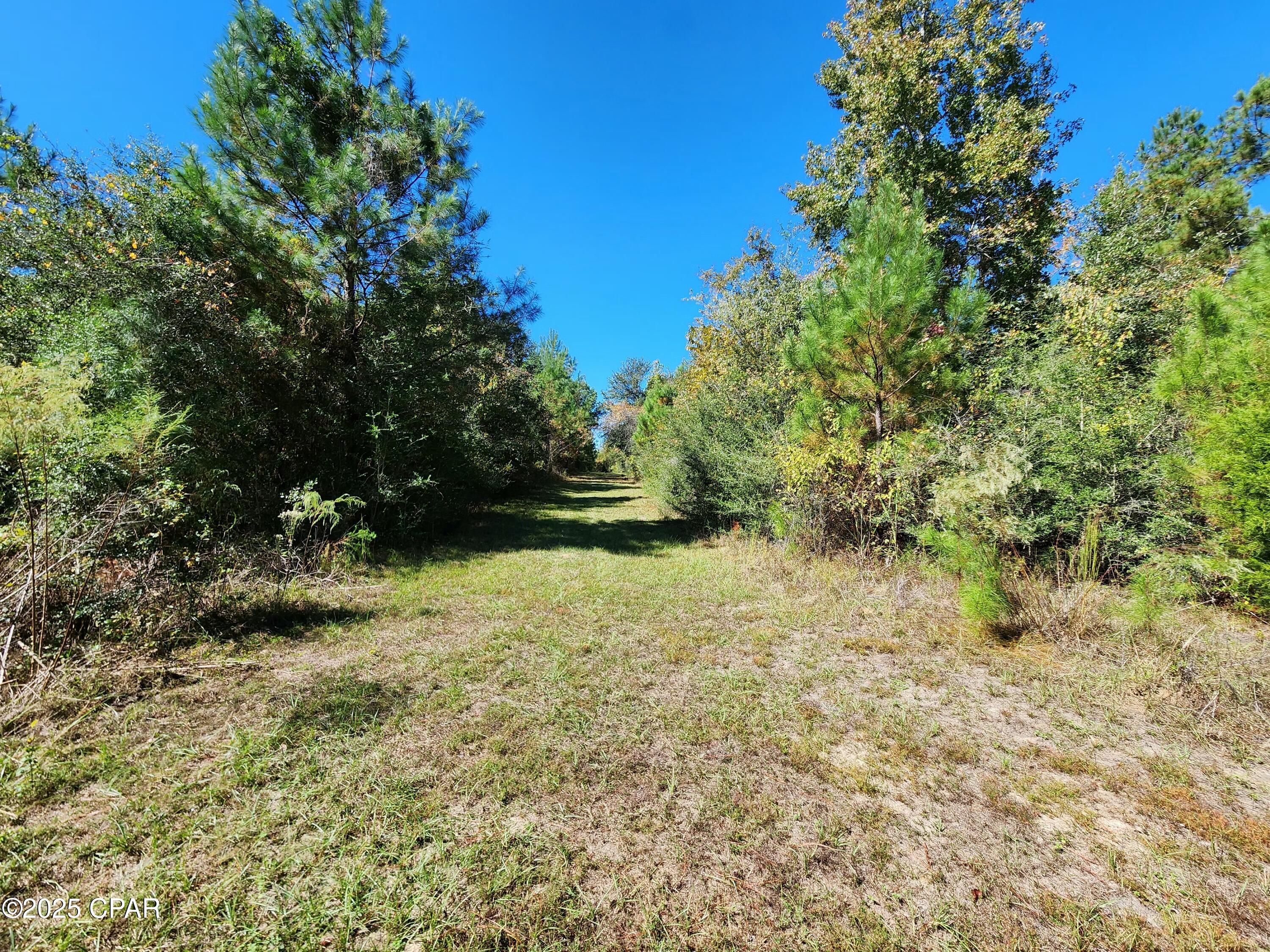 0 Pineridge Church Road Marianna, FL 32448 - Photo 19 of 33