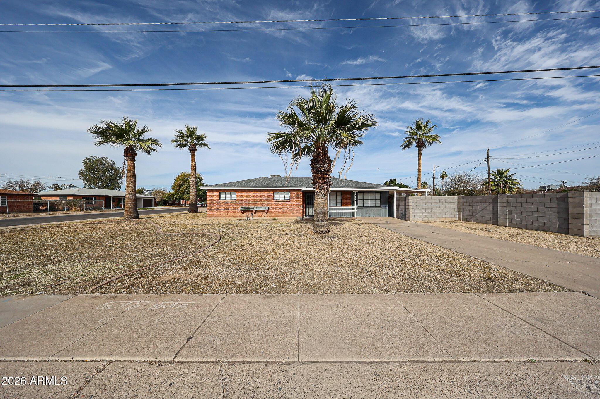 a view of outdoor space with palm trees