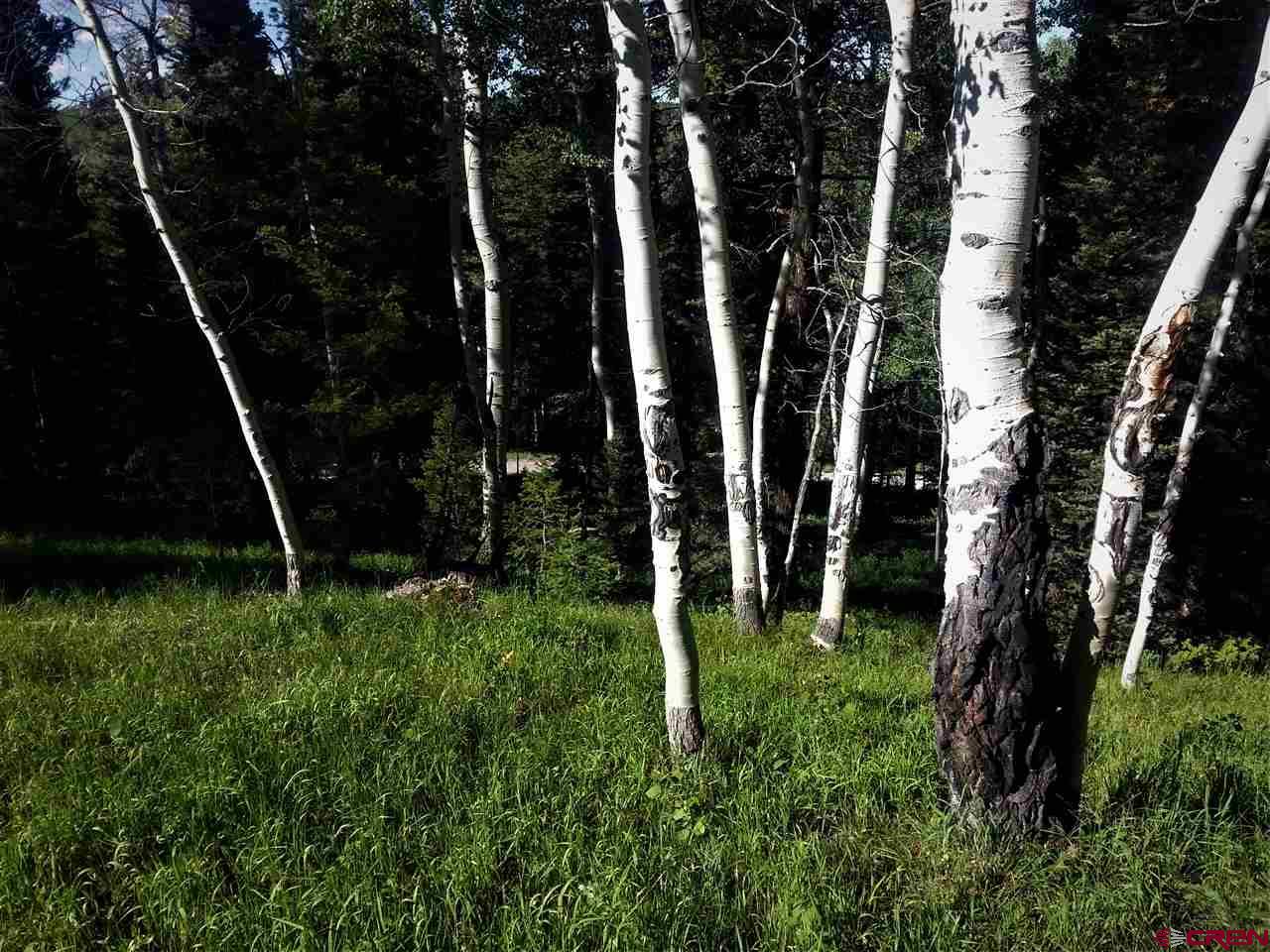 463 Ute Road Cimarron, CO 81220 - Photo 3 of 10 Gallery Image 3