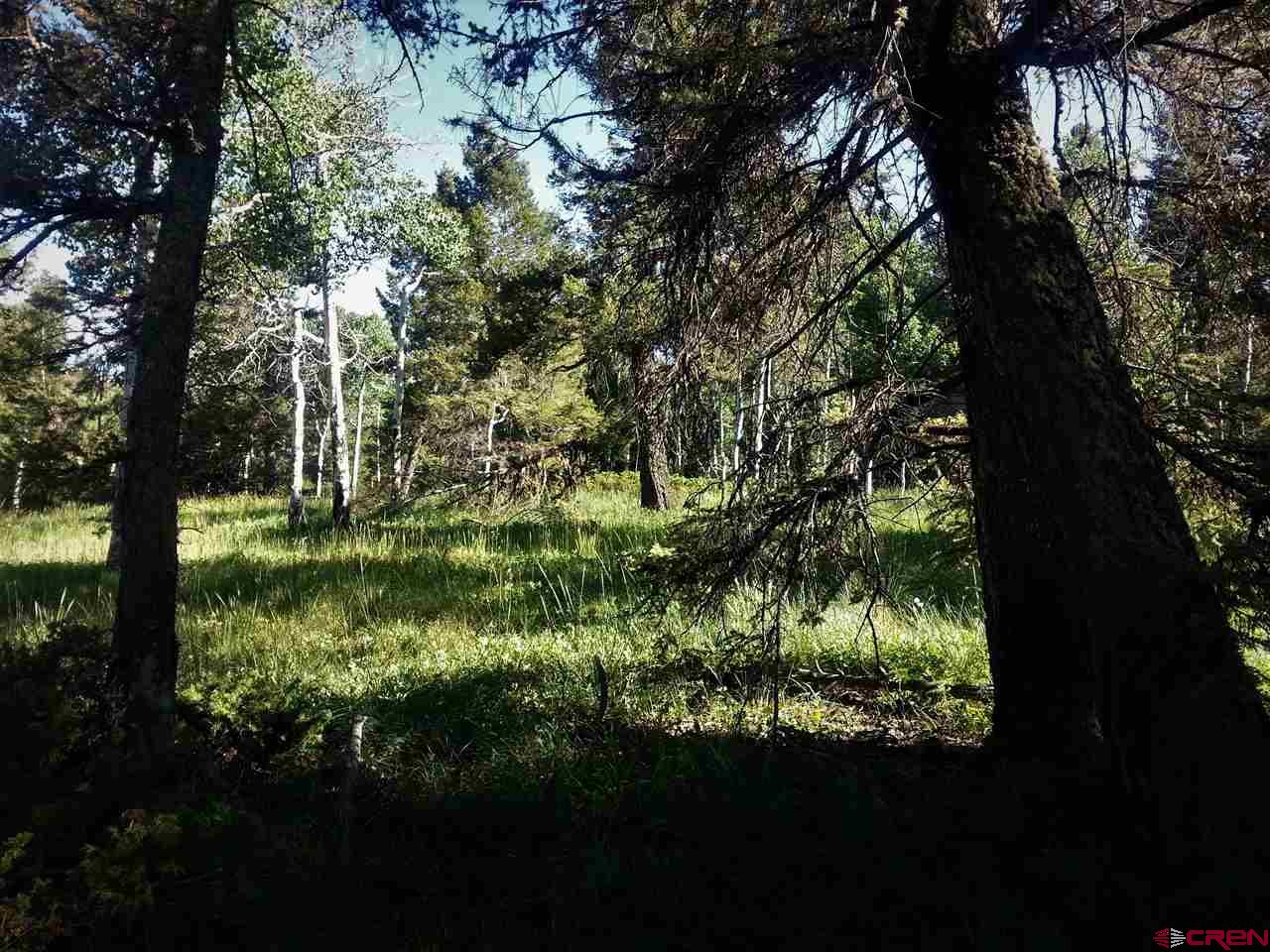 463 Ute Road Cimarron, CO 81220 - Photo 5 of 10 Gallery Image 5
