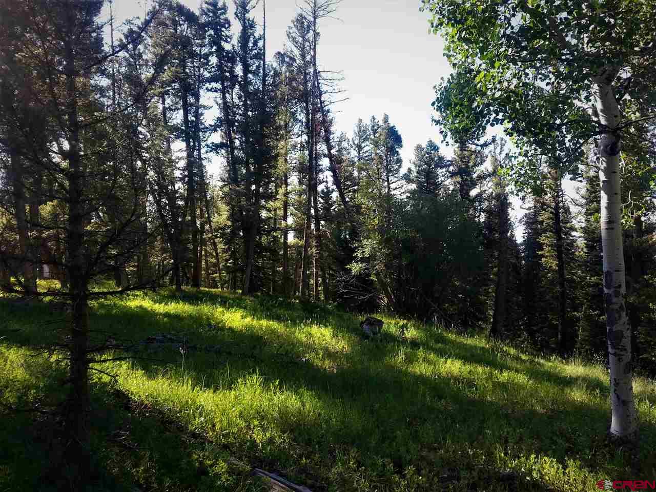 463 Ute Road Cimarron, CO 81220 - Photo 7 of 10 Gallery Image 7