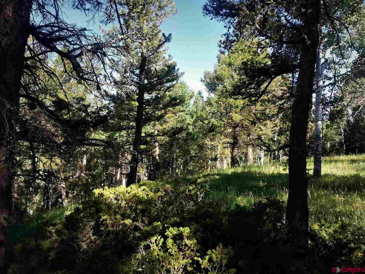 463 Ute Road Cimarron, CO 81220 - Photo 8 of 10 Gallery Image 8