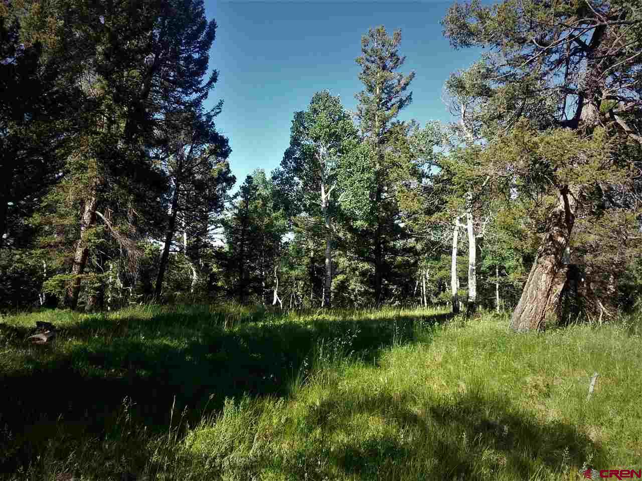 463 Ute Road Cimarron, CO 81220 - Photo 9 of 10 Gallery Image 9