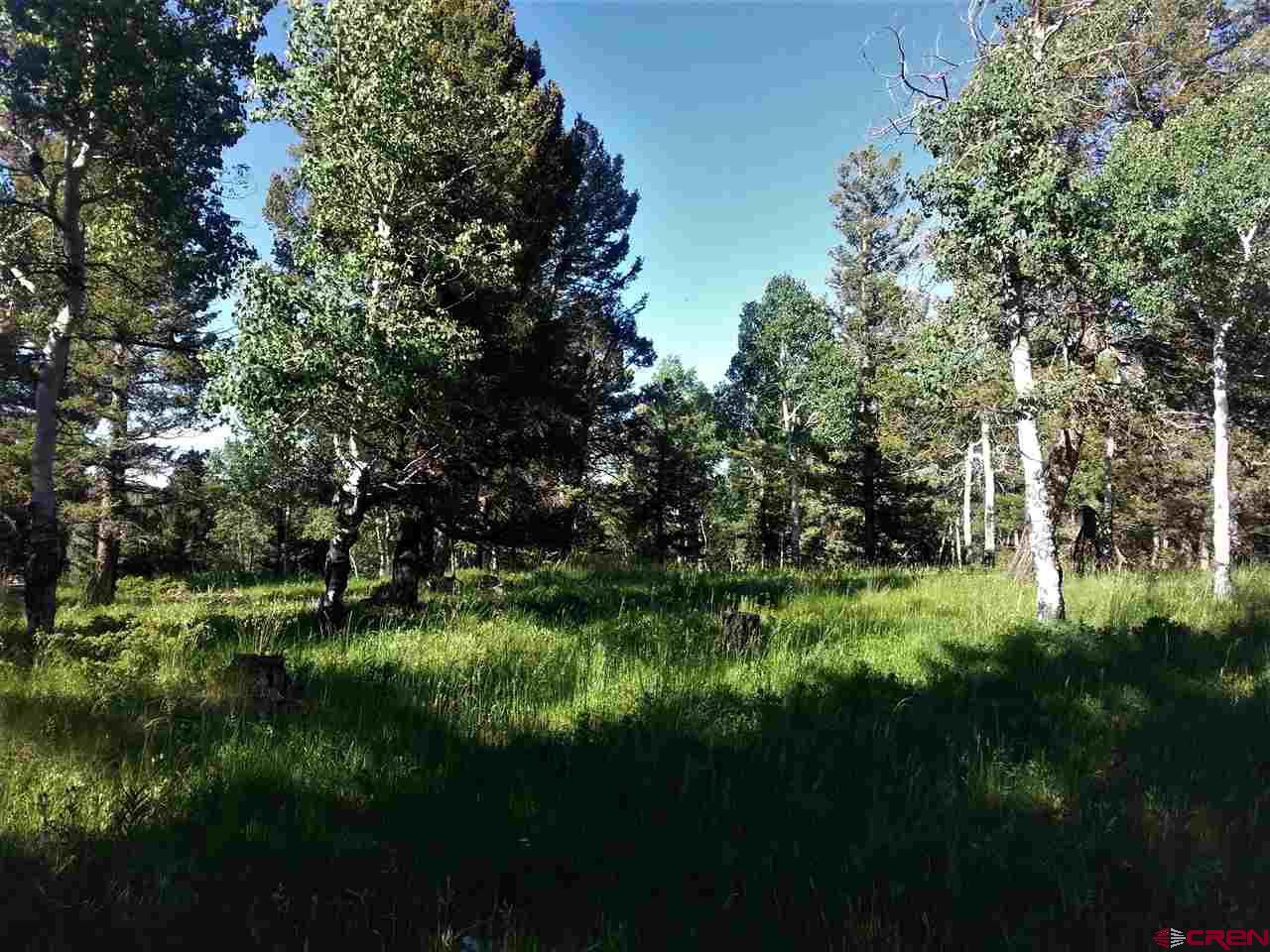 463 Ute Road Cimarron, CO 81220 - Photo 10 of 10 Gallery Image 10