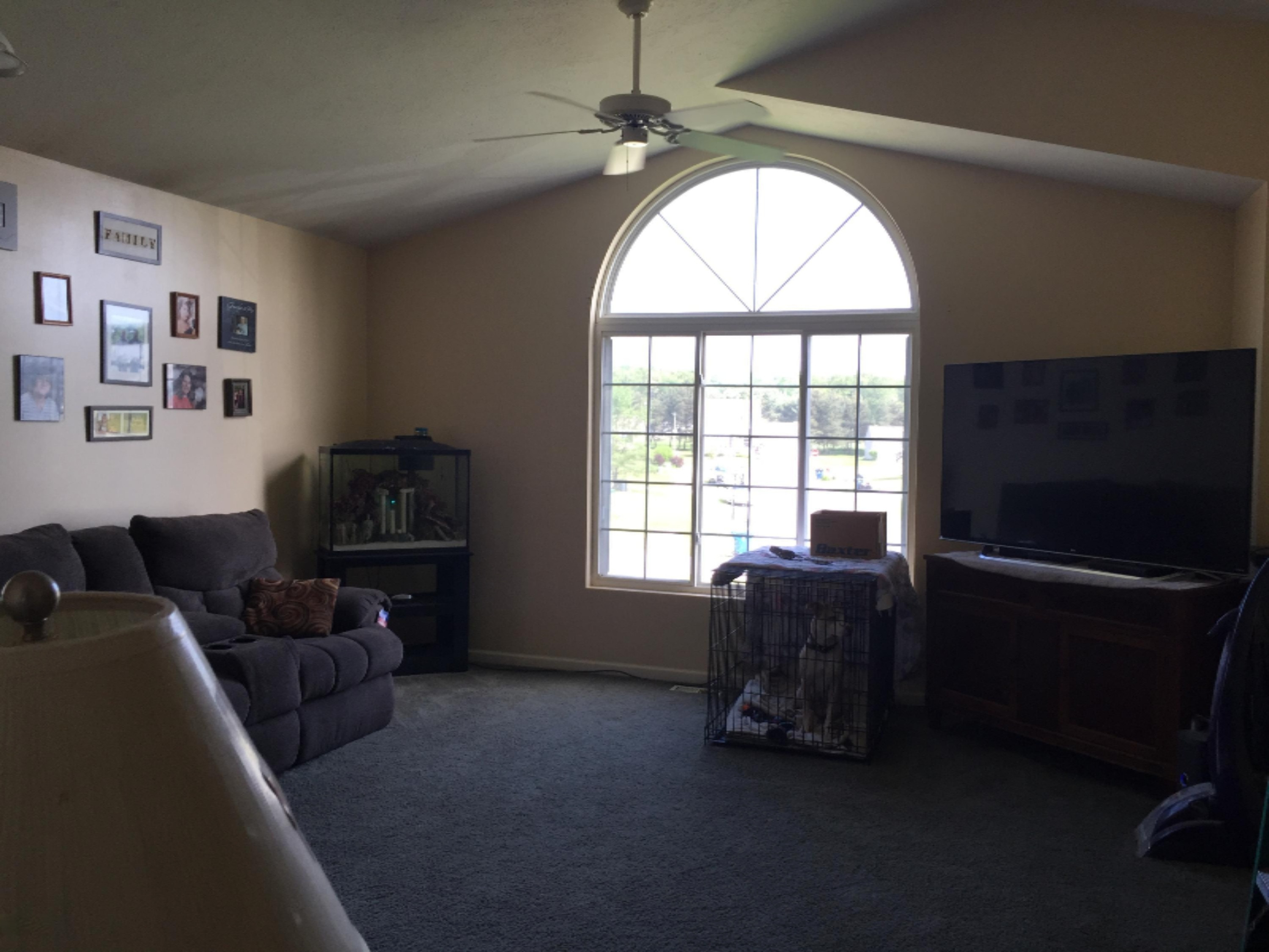 455 Pine Ridge Drive Belding, MI 48809 - Photo 11 of 24 living1