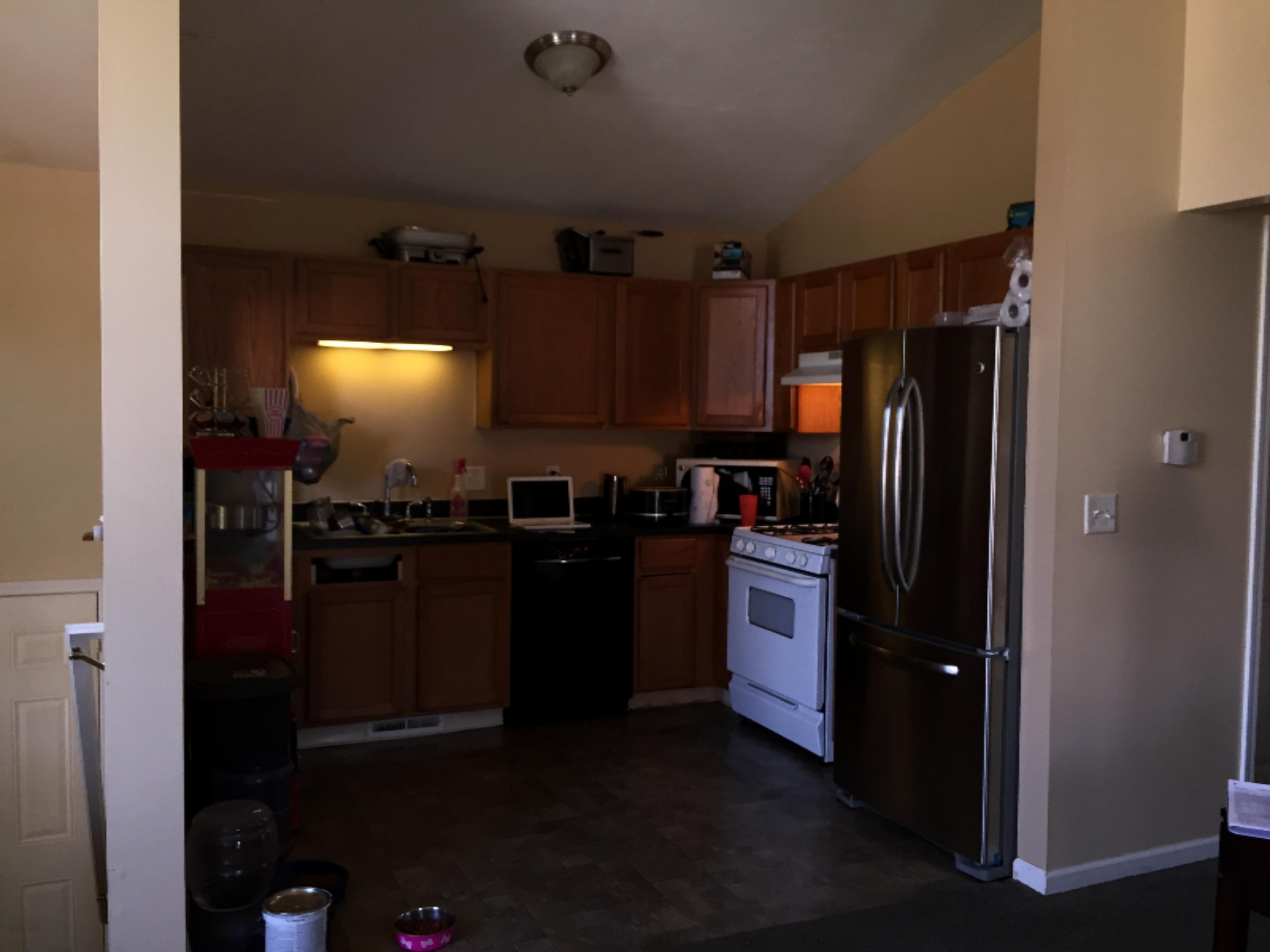 455 Pine Ridge Drive Belding, MI 48809 - Photo 14 of 24 ktch