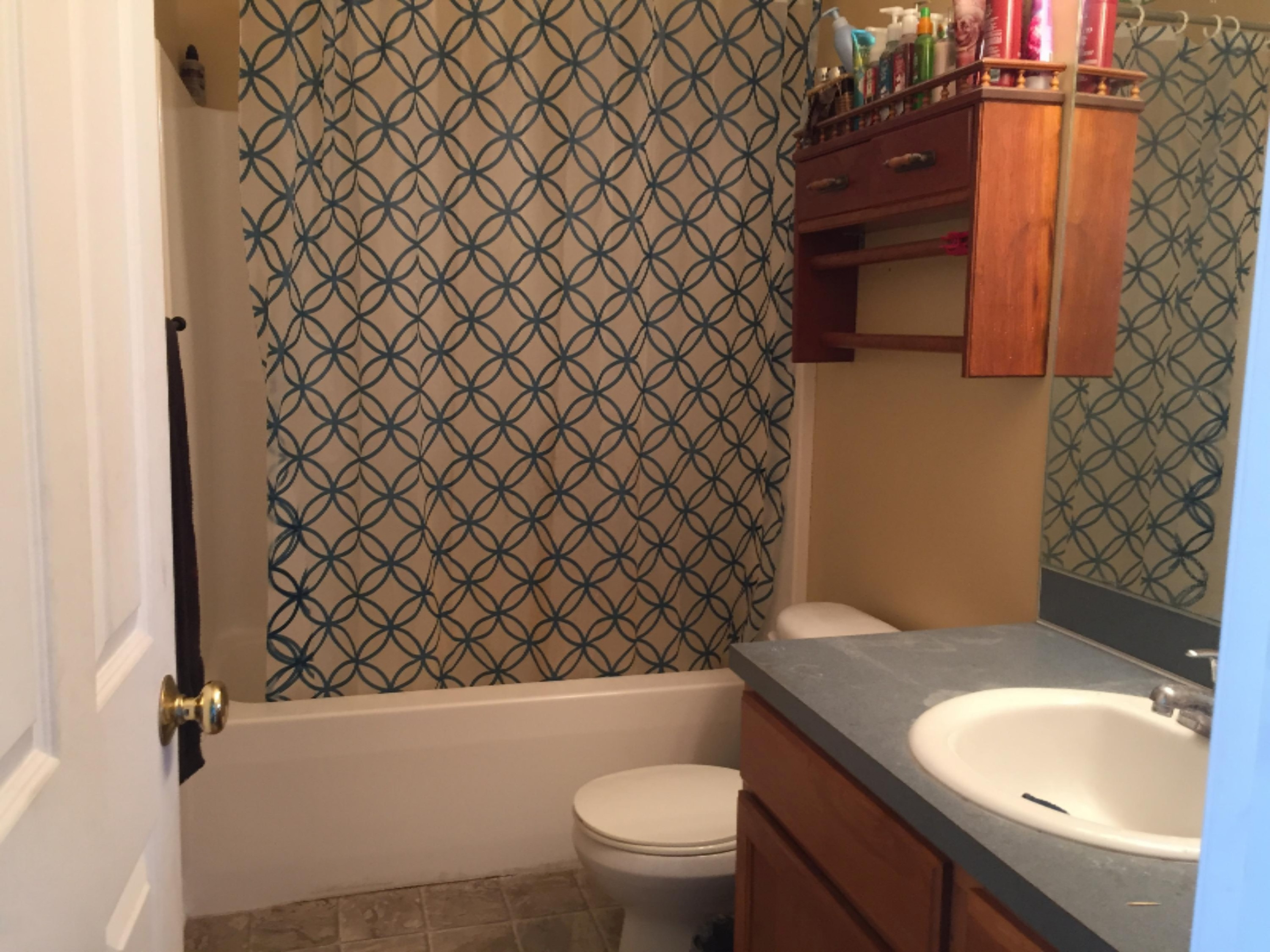455 Pine Ridge Drive Belding, MI 48809 - Photo 17 of 24 bath