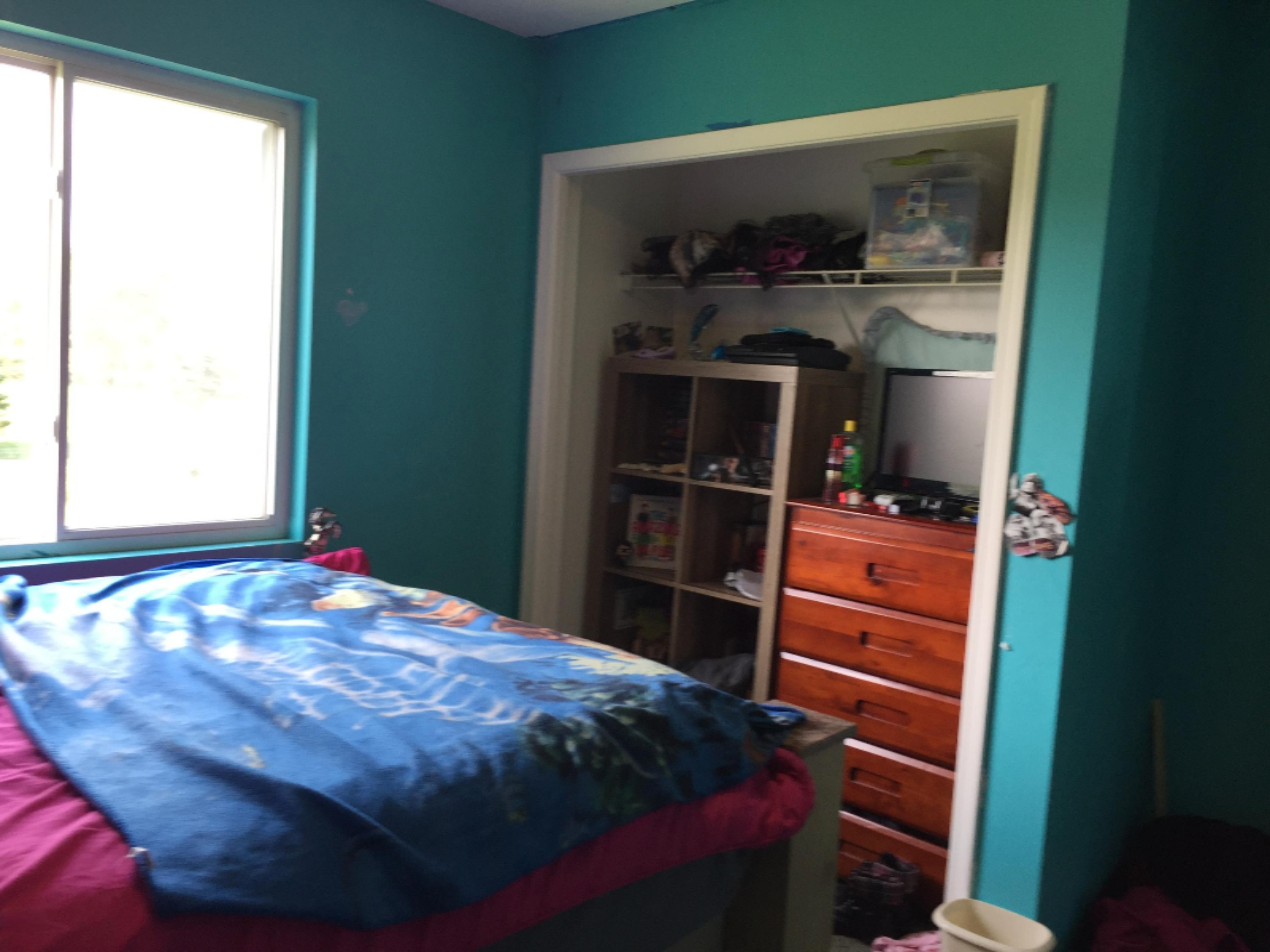 455 Pine Ridge Drive Belding, MI 48809 - Photo 19 of 24 bed2