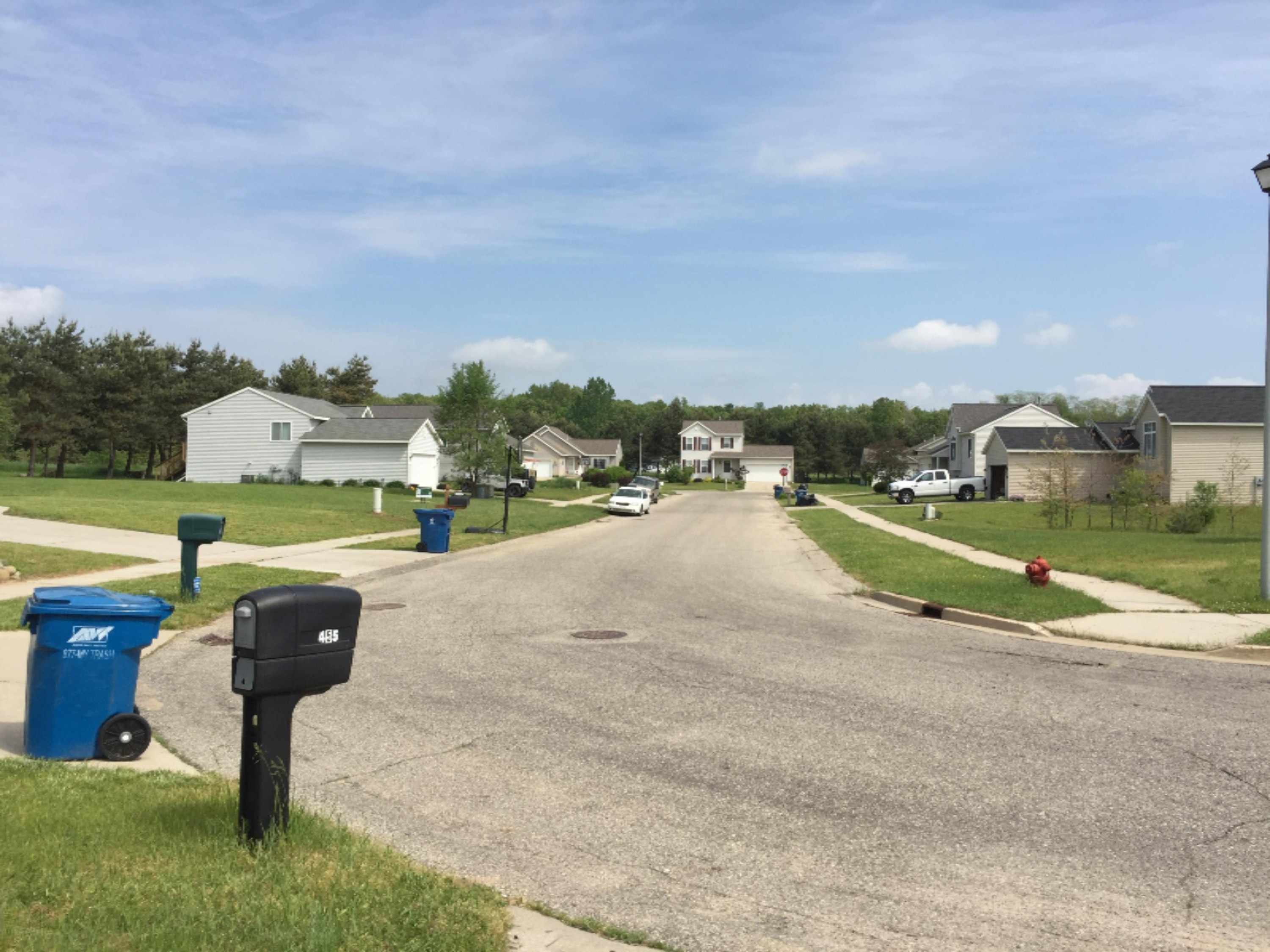 455 Pine Ridge Drive Belding, MI 48809 - Photo 2 of 24 Street