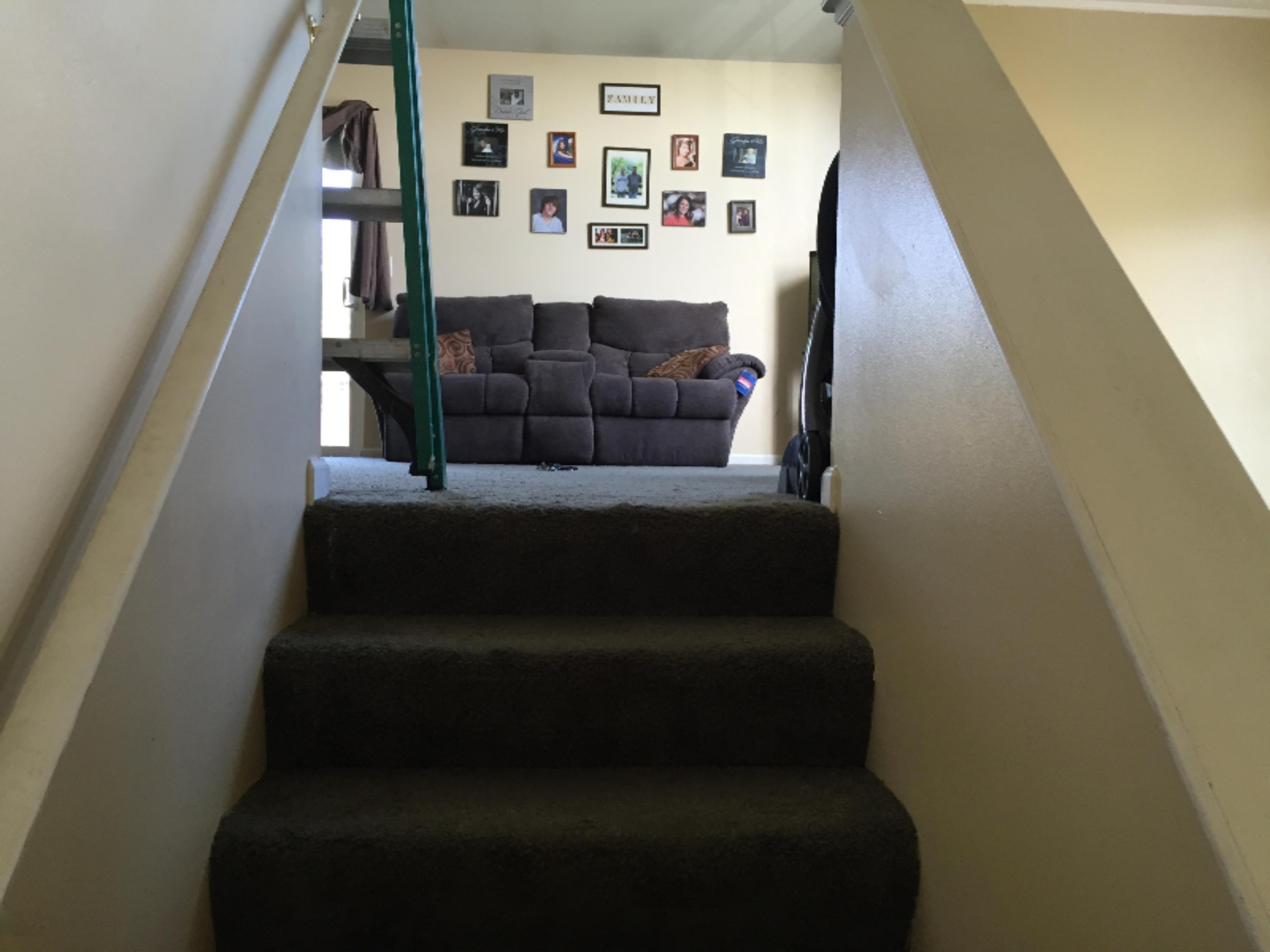 455 Pine Ridge Drive Belding, MI 48809 - Photo 7 of 24 entry1
