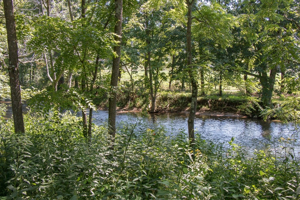 32555 McCready Road Damascus, VA 24236 - Photo 7 of 47 Gallery Image 7